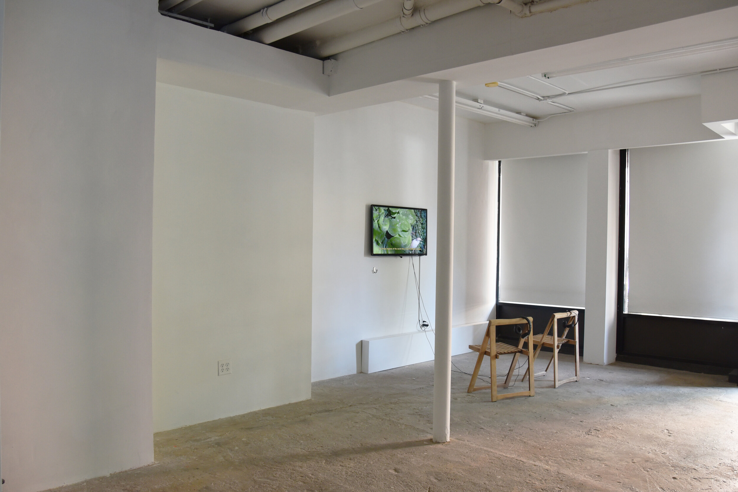 Installation images of AFTER NATURE, featuring works by Rocío Olivares &amp; Nicolás Rupcich at Cindy Rucker Gallery