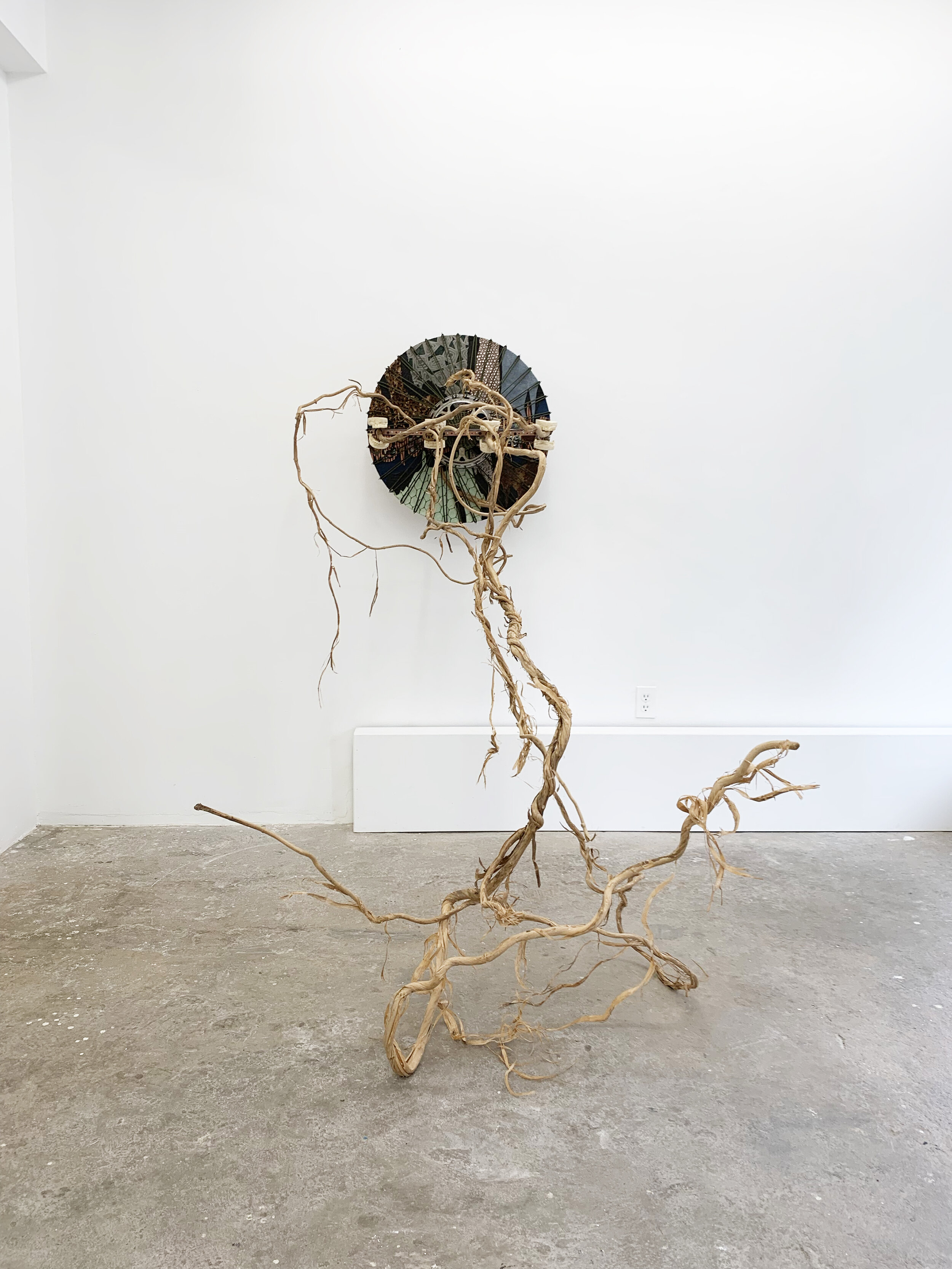 Julius Linnenbrink / Lorna Williams 2019 exhibition at Cindy Rucker Gallery, installation image of a Lorna Williams a sculpture