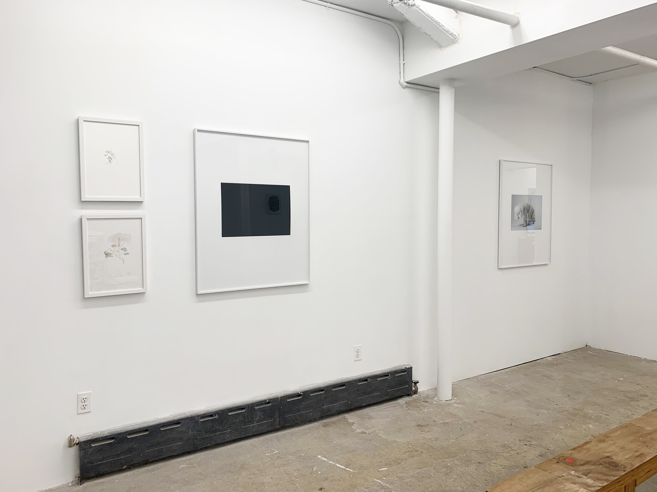 Geissler/Sann photographs, Martin Schwenk works on paper, installation images, None Sing exhibition at Cindy Rucker Gallery