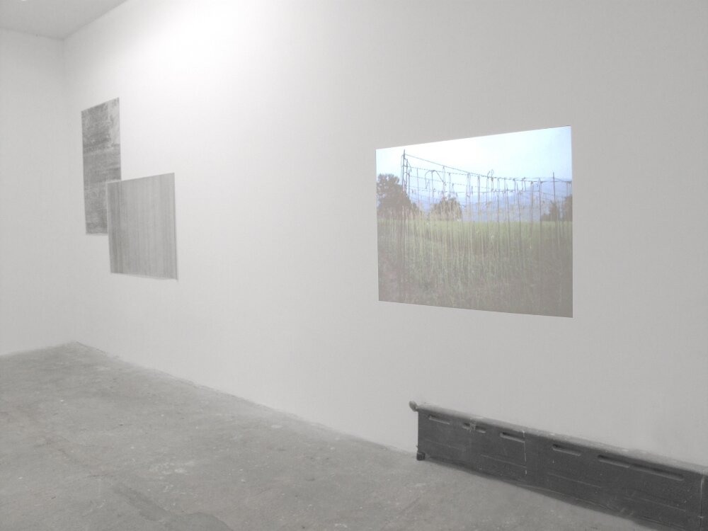 Installation image from the 2015 Javier Arce exhibition, Retry the life experiment in the communal, at Cindy Rucker Gallery