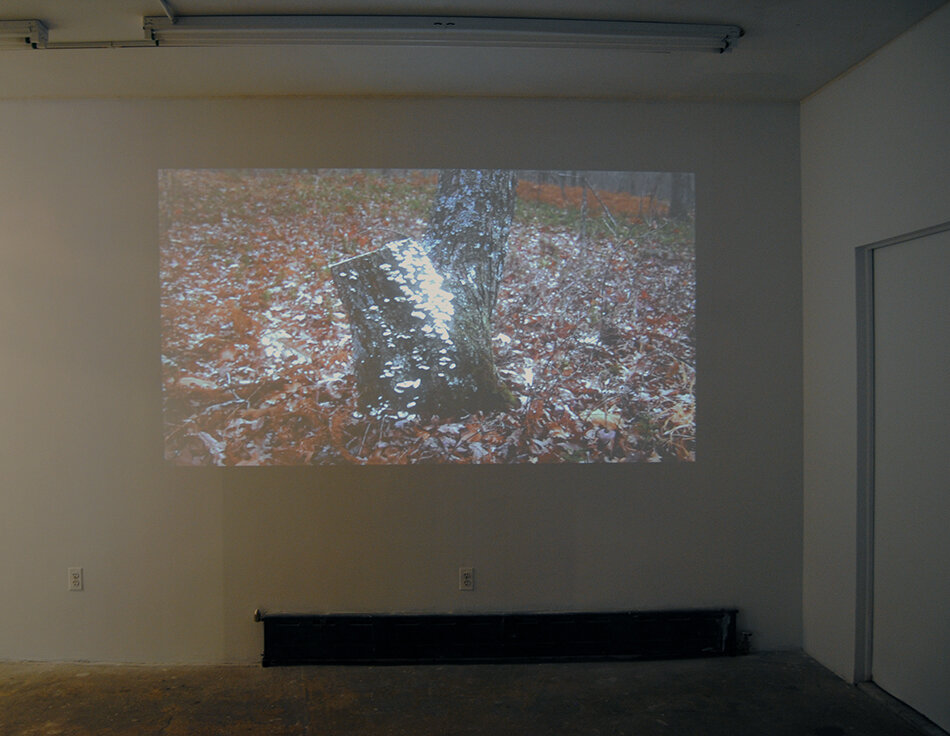 Installation image from the 2015 exhibition, the trees the trees the trees, featuring works by Gereon Krebber, Ann Oren, Robyn Voshardt/Sven Humphrey, at Cindy Rucker Gallery