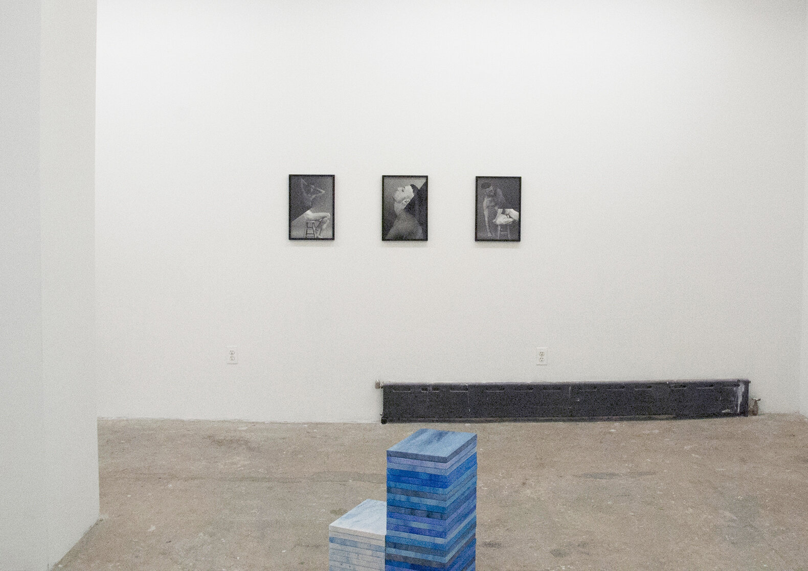 Installation image from the 2013 exhibition, Wet, Curated by Brad Silk, featuring works by David Schoerner &amp; Lyndsy Welgos, at Cindy Rucker Gallery