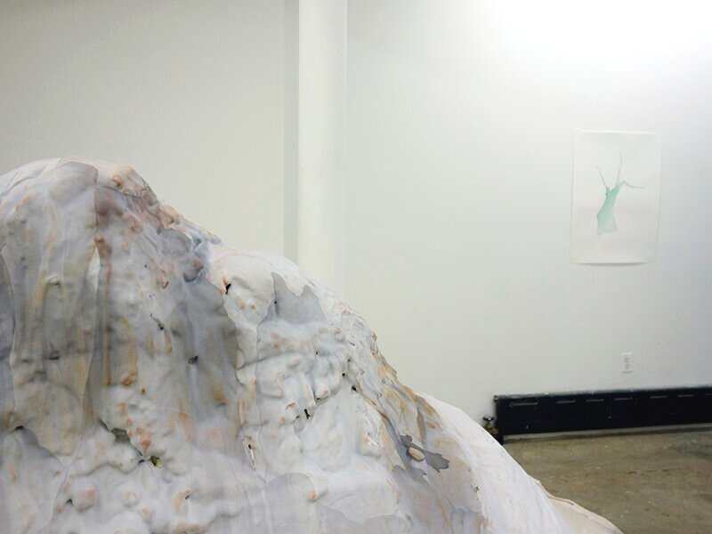 Installation image from the 2013 Martin Schwenk exhibition, Alpine Glow, at Cindy Rucker Gallery