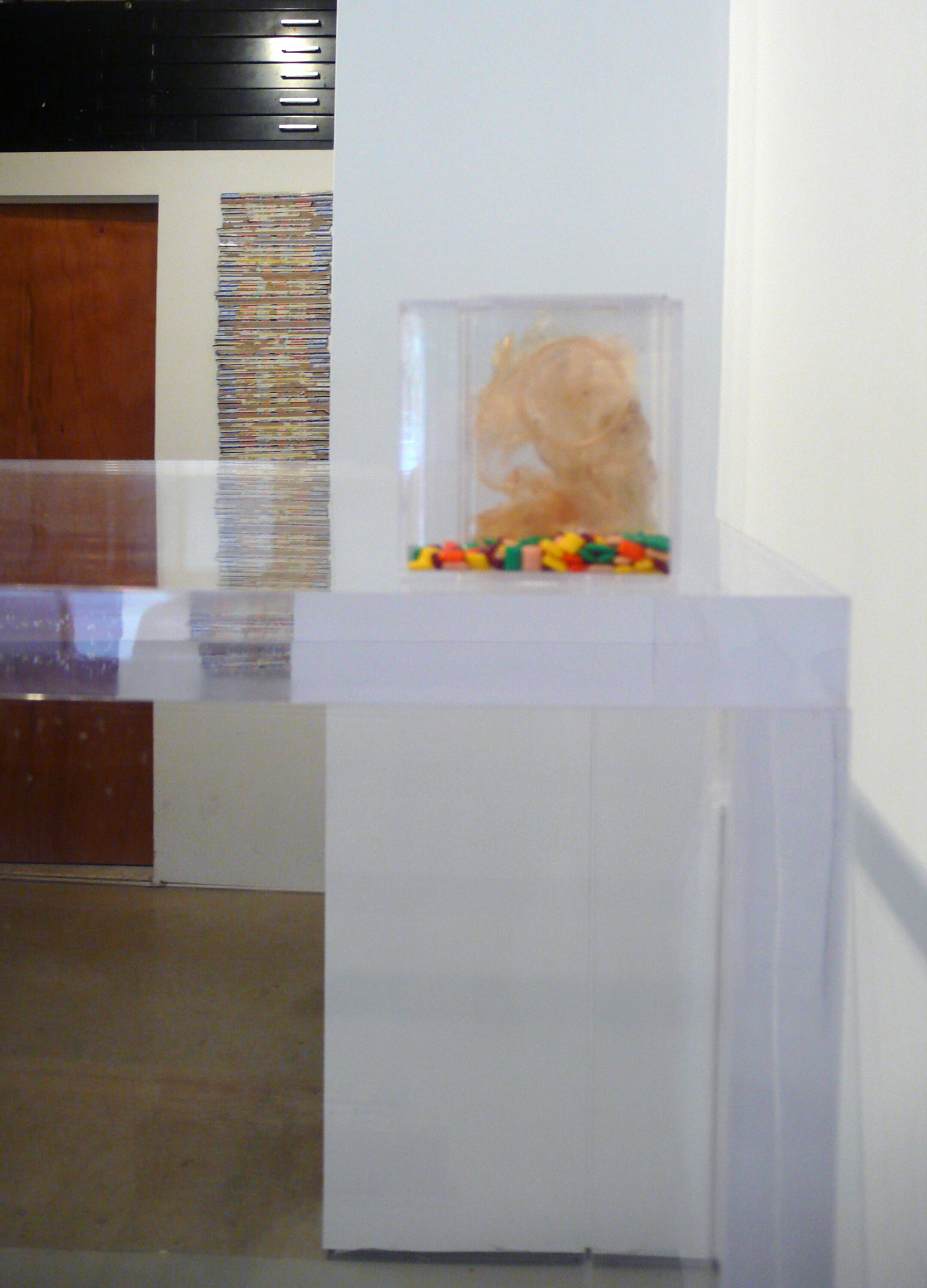Installation image from the 2010 exhibition, Carlos Sandoval De Leon, at Cindy Rucker Gallery