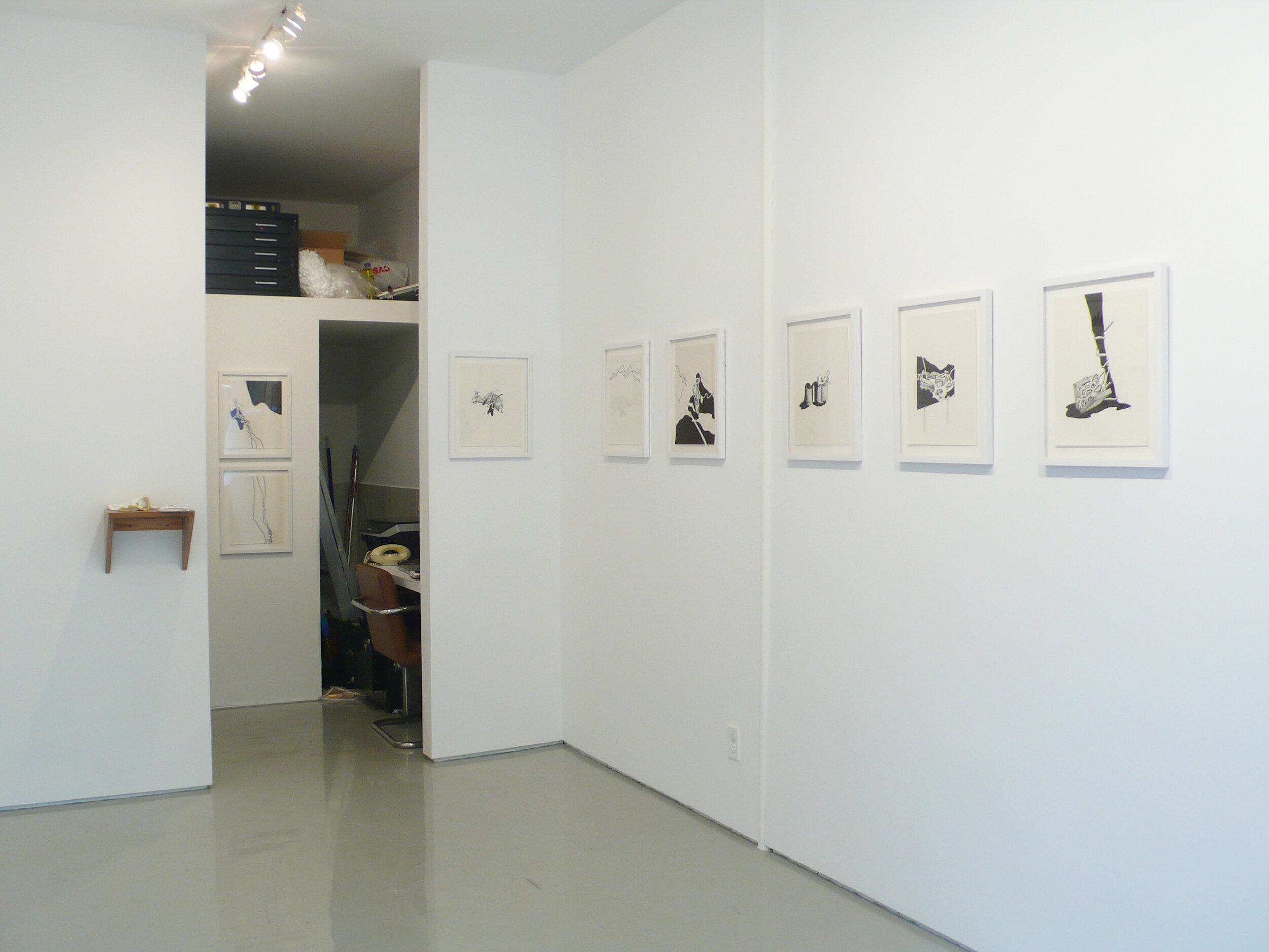 Installation image from the 2007 Catarina Leitão exhibition, THICKET, at Cindy Rucker Gallery, Number 35