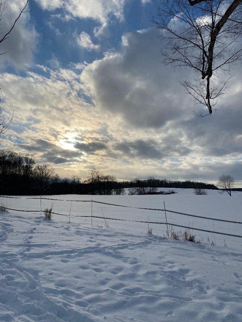 Winter