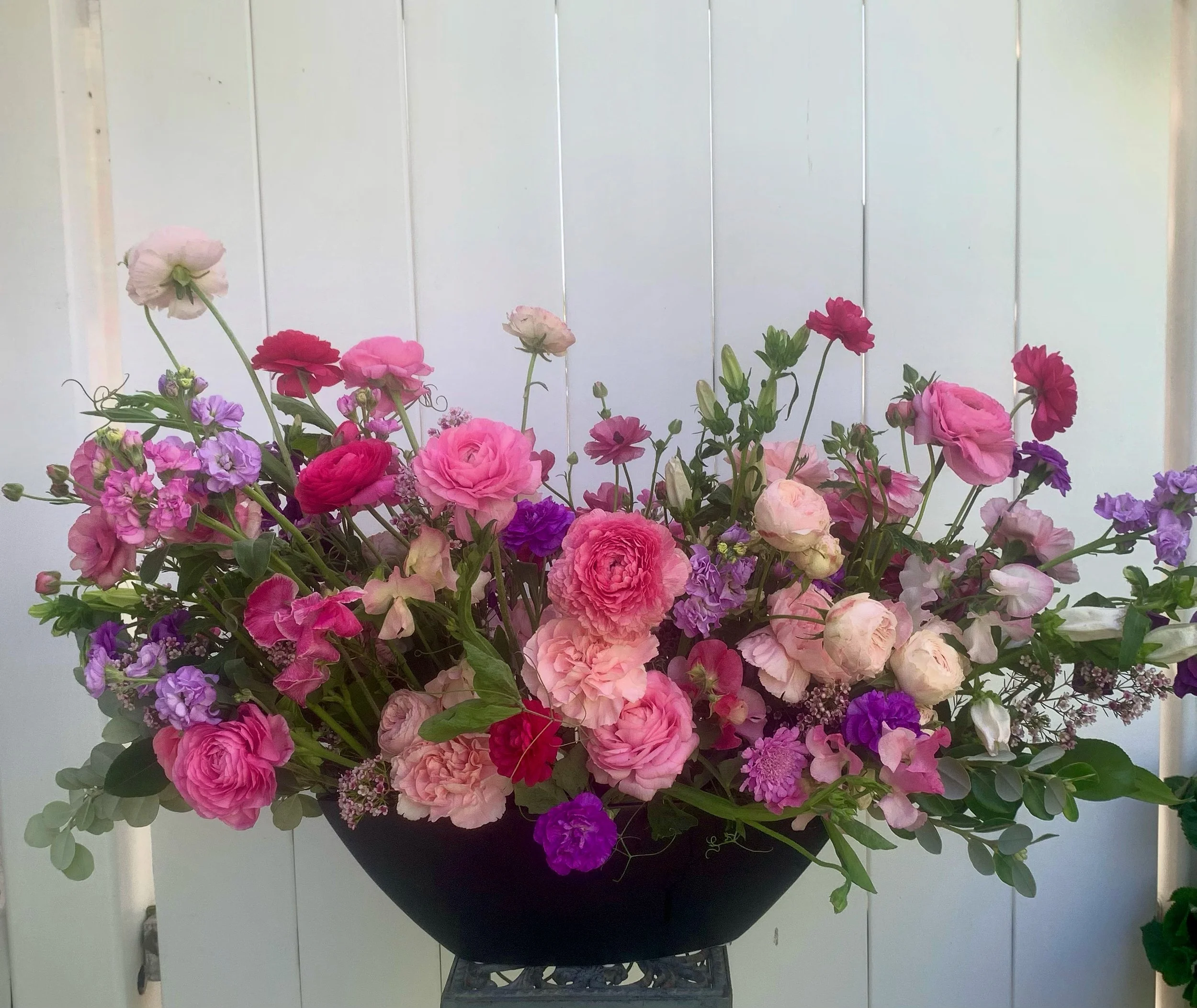 Queen Mother wide .JPG