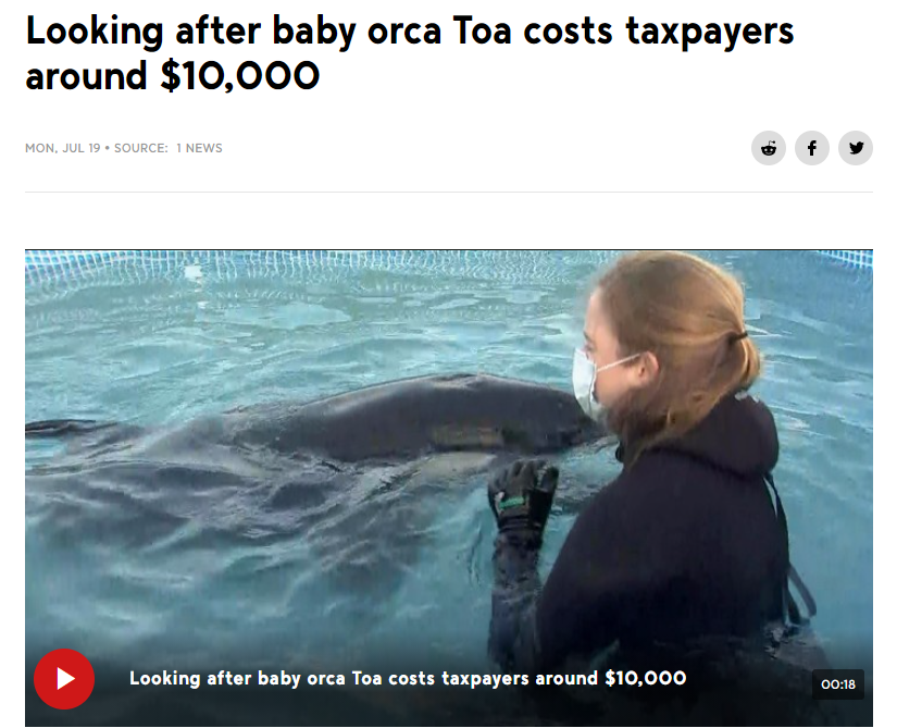 Neoliberalism as Content Marketing