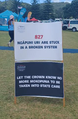 Te Tiriti o Waitangi more than an historical artefact in social work education