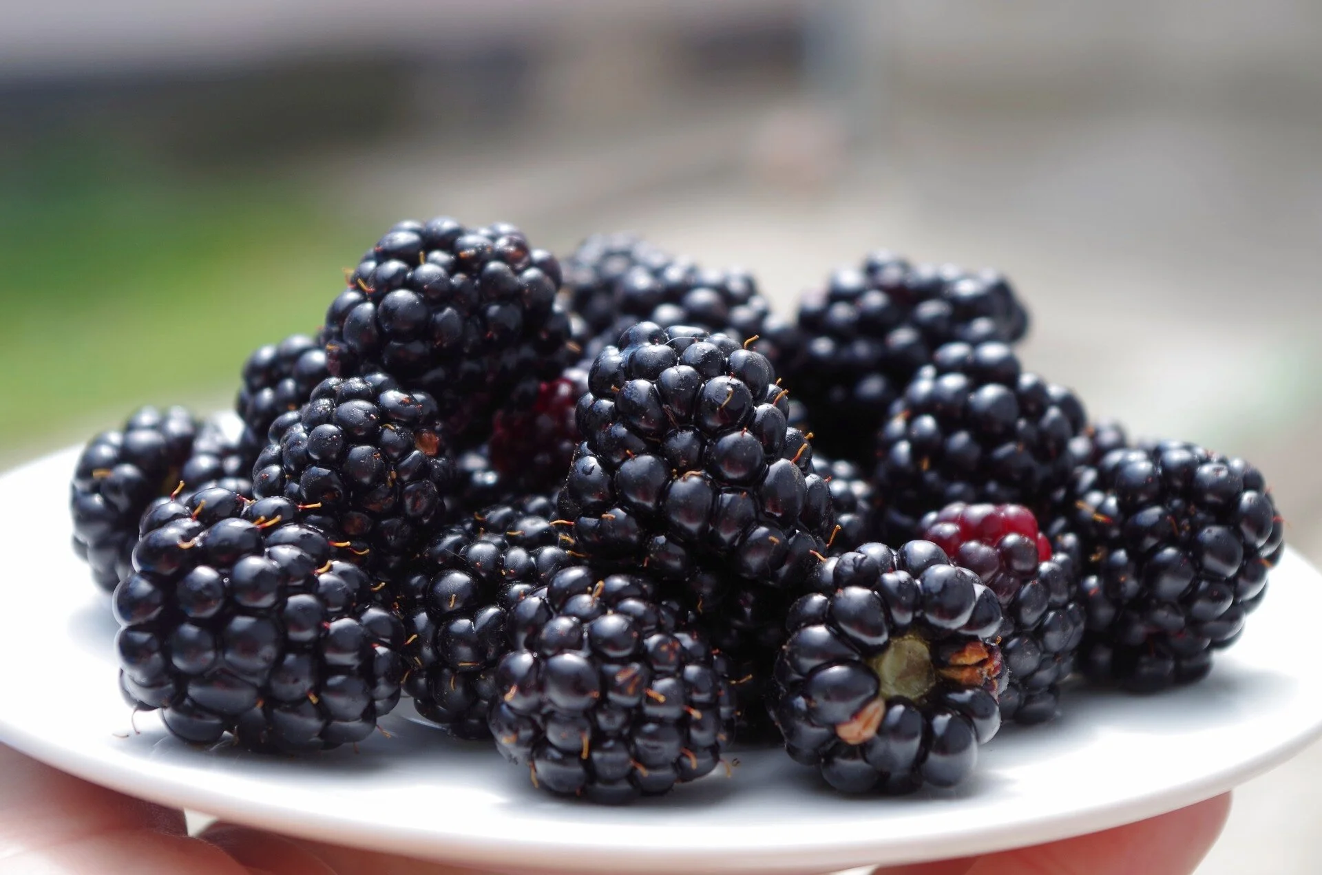 blackberries-dish.jpg
