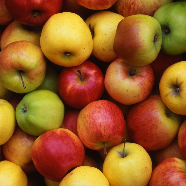 Photo of multiple different varieties of apples