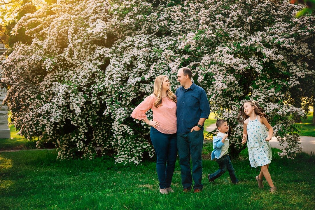 I love how majestic this bush is. And every year, it blooms right around my birthday! I think it's Tower Grove Park's gift to me. I was so happy that this sweet family wanted to have a sunset shoot in my favorite spot.