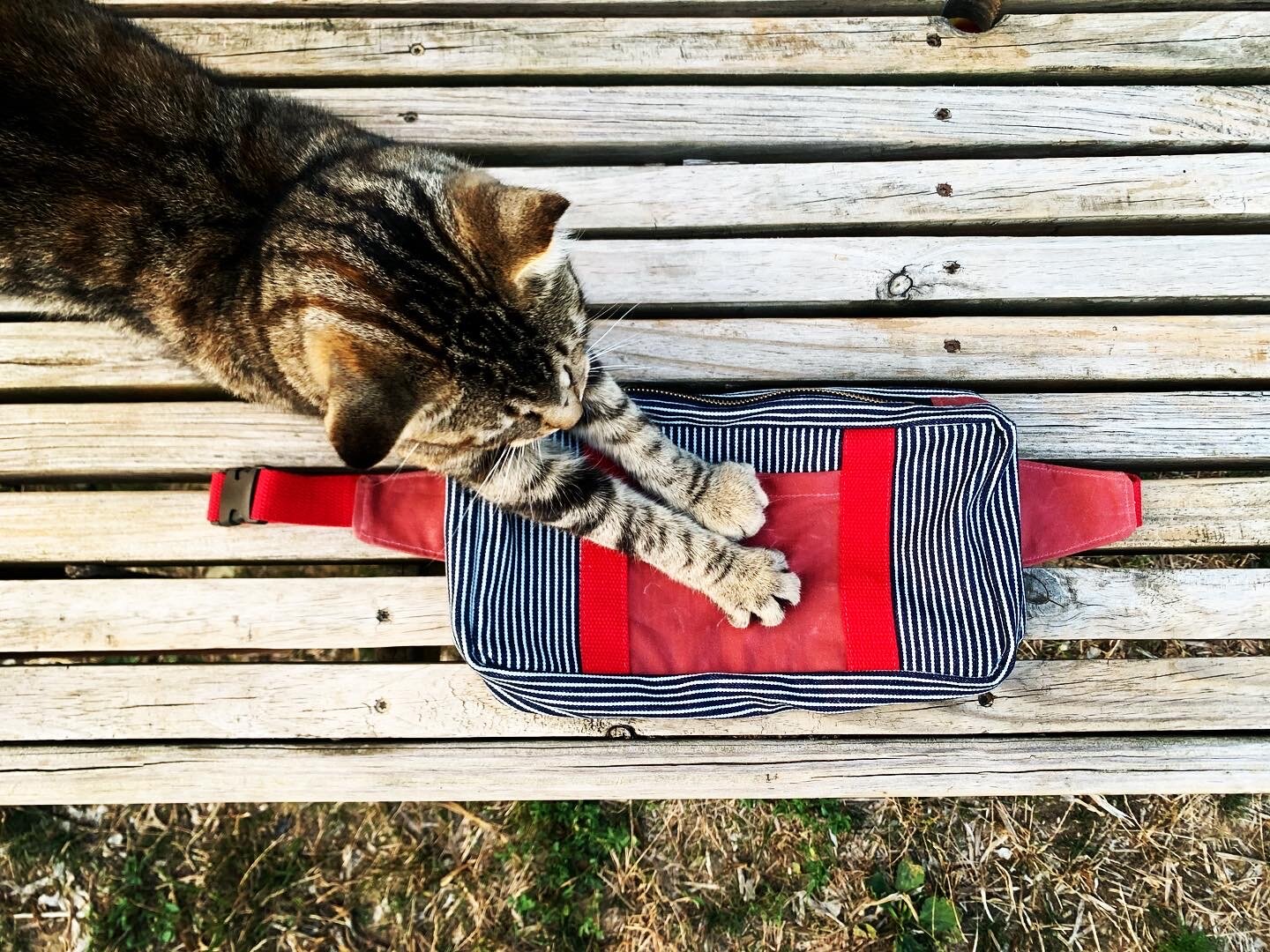 3CA36D28-804F-4E22-88B9-4F8A0B763741 2.JPG