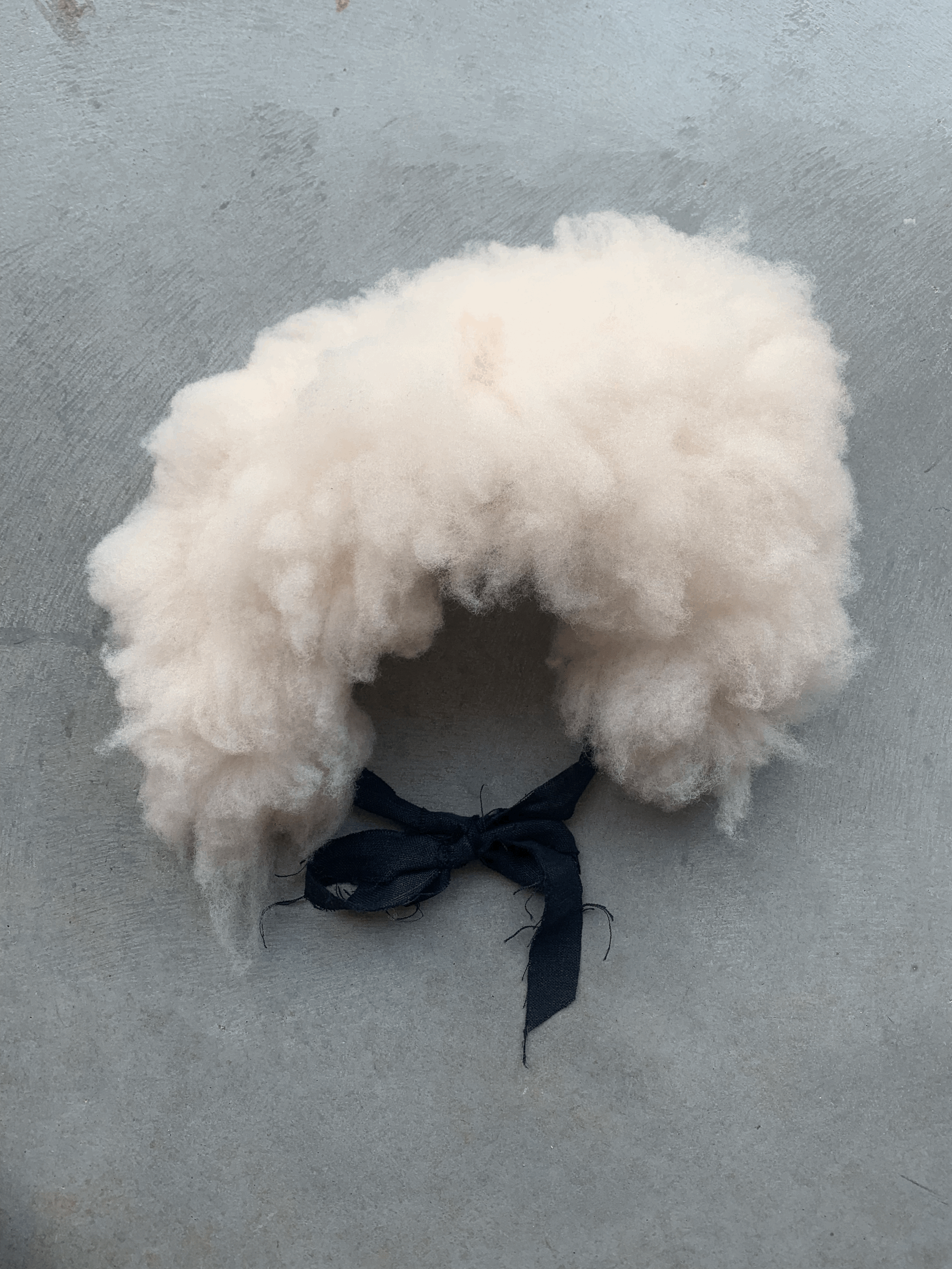 Sheep Hide Collar, no. 1