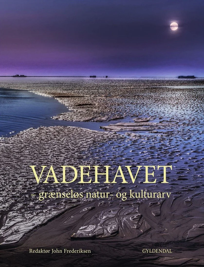 Foredrag: Vadehav og marskland