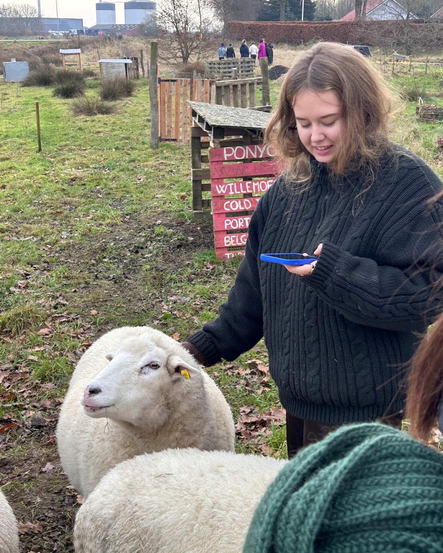 Vores s&oslash;de f&aring;r gl&aelig;der sig helt vildt til at m&oslash;de alle deres nye venner, n&aring;r det nye elevhold ankommer den 1. februar 🐑🫶

#l&oslash;gumklosterh&oslash;jskole #h&oslash;jskoleliv #h&oslash;jskole #h&oslash;jskolerne #s