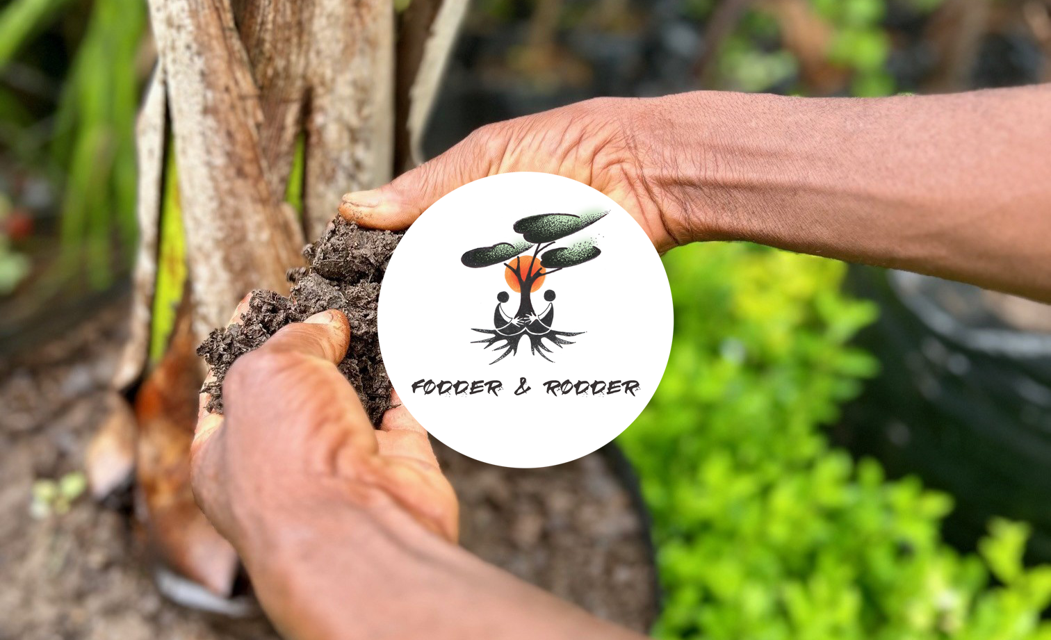 Fødder &amp; Rødder generalforsamling 2026