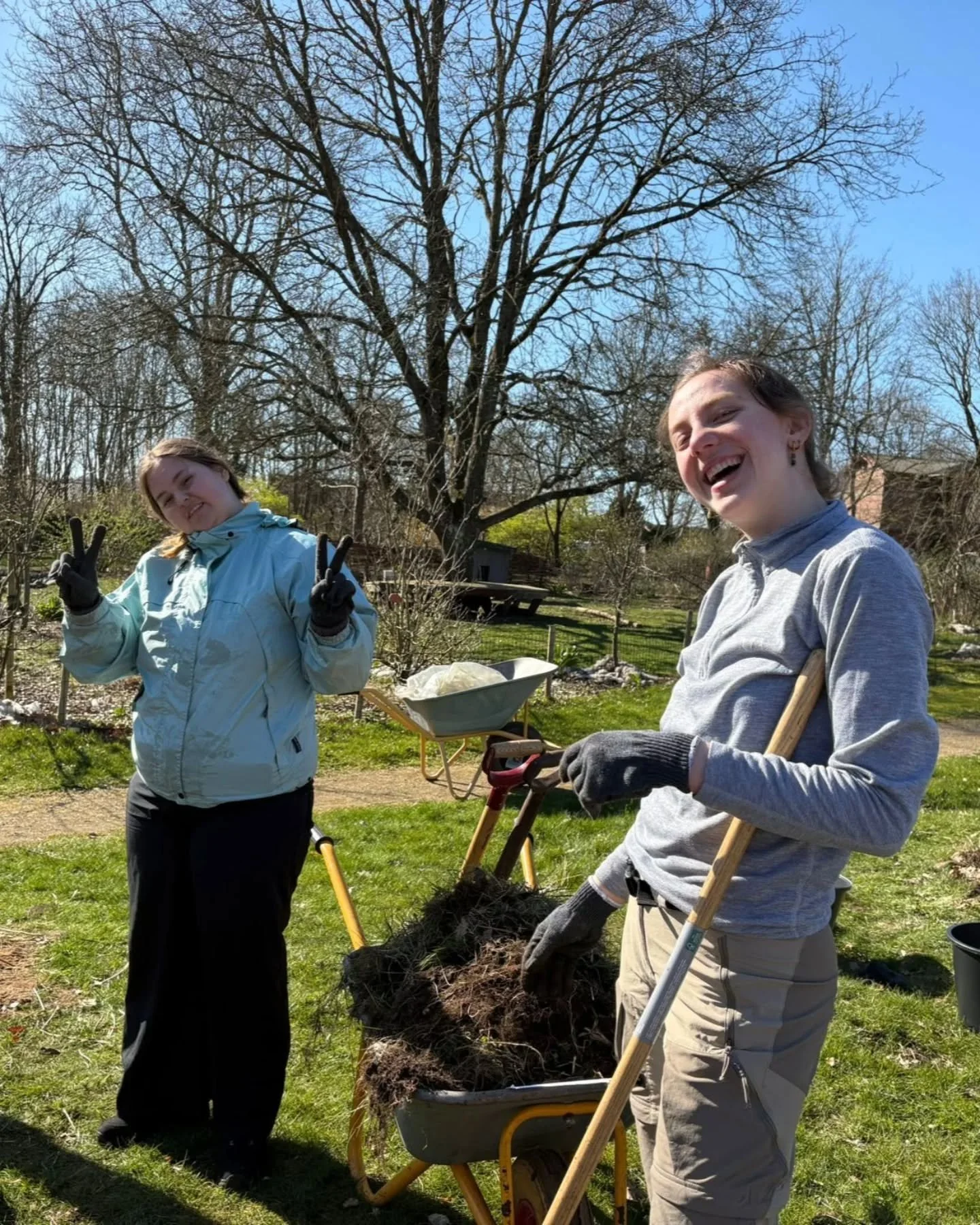 Formiddagens undervisning foregik i dag under &aring;ben himmel i det dejligste solskinsvejr, hvor vi gjorde haven flot og for&aring;rsklar 🌞🌱🪏

#l&oslash;gumklosterh&oslash;jskole #h&oslash;jskoleliv #h&oslash;jskole #h&oslash;jskolerne #sabbat&a