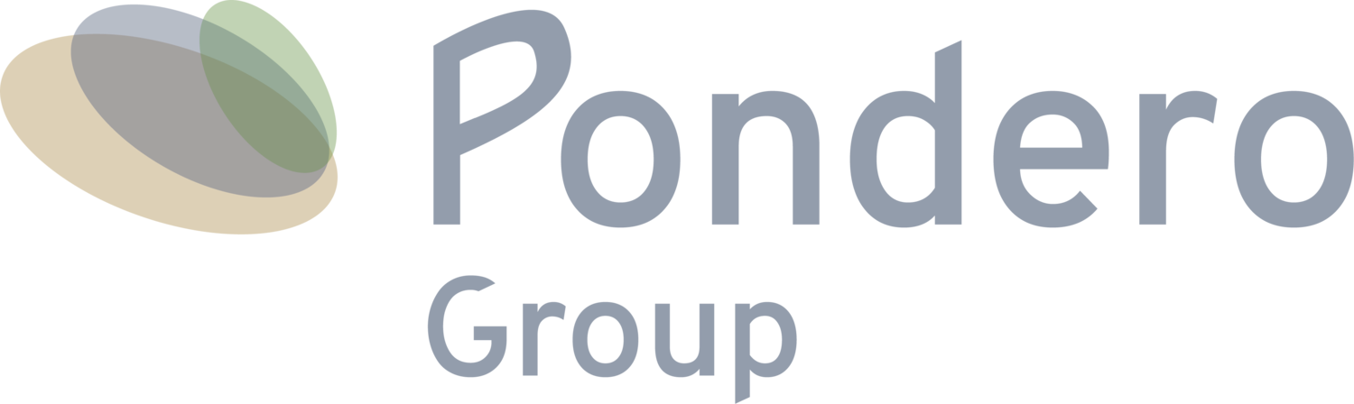 Pondero Group