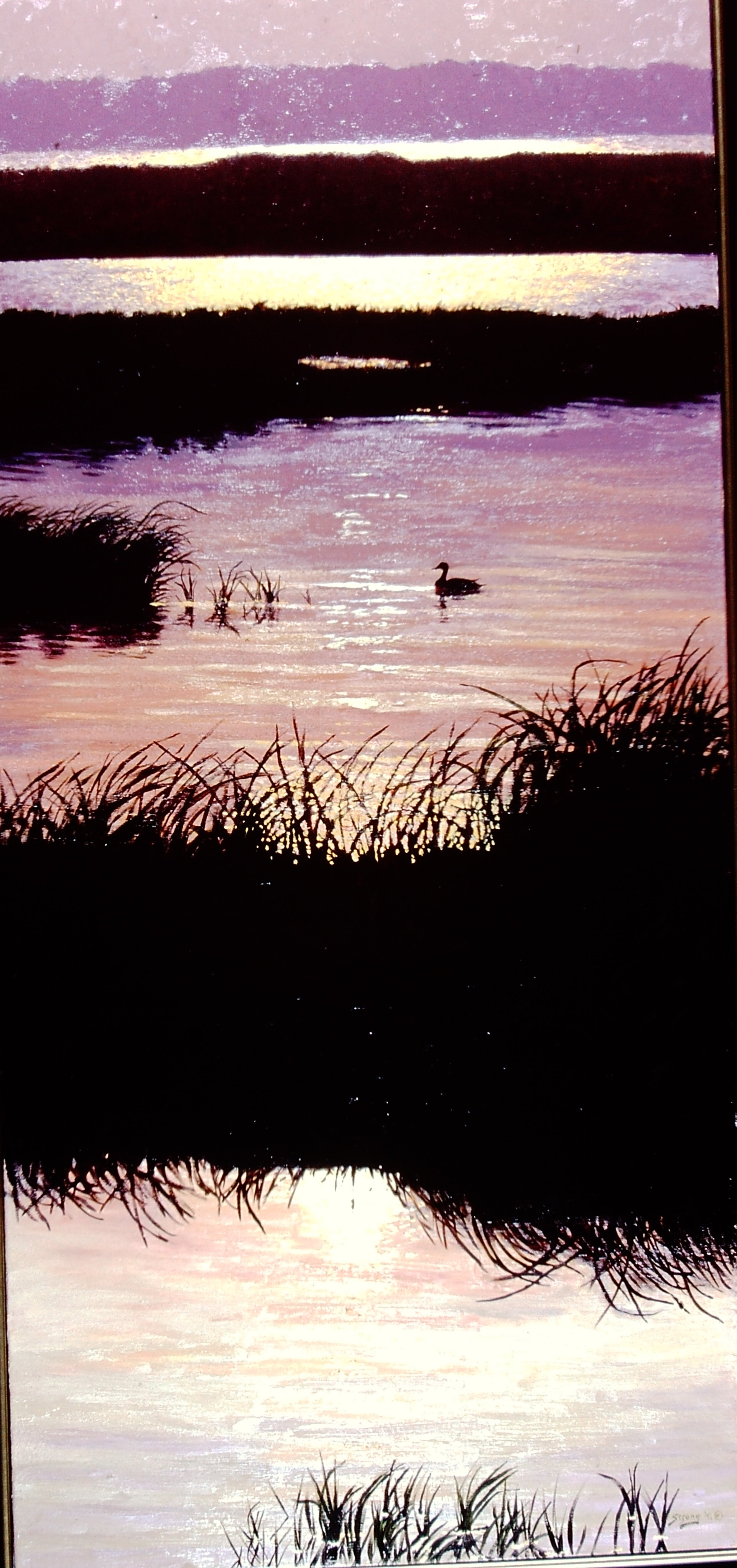 Sunset Duck