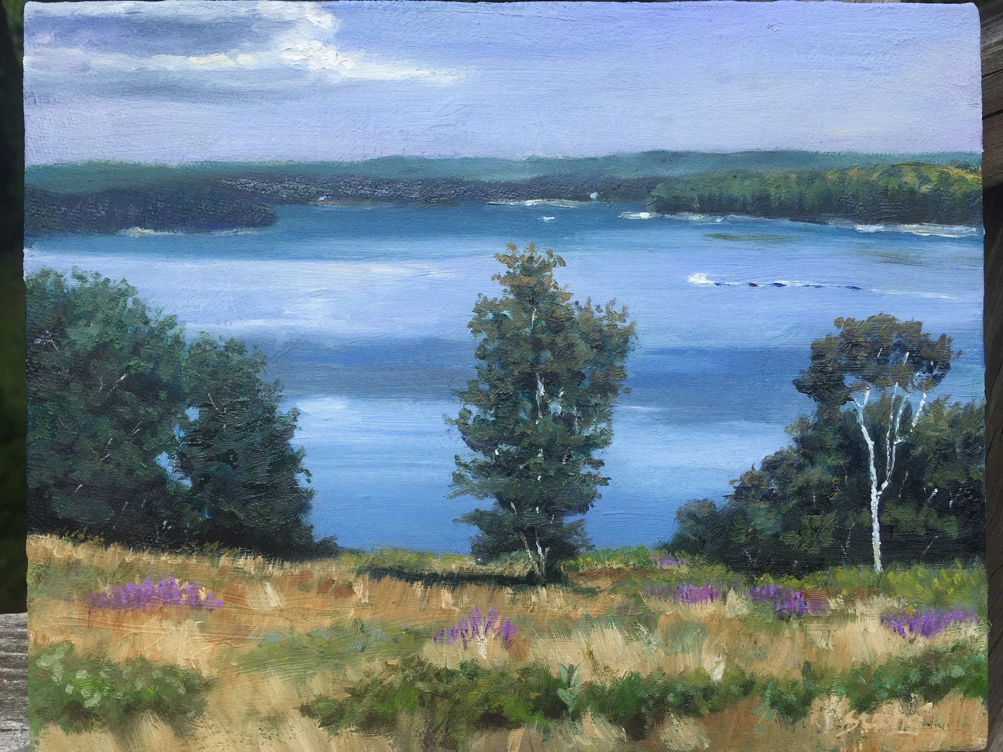 "St. George River Birch", 9" x 12", oil on panel
