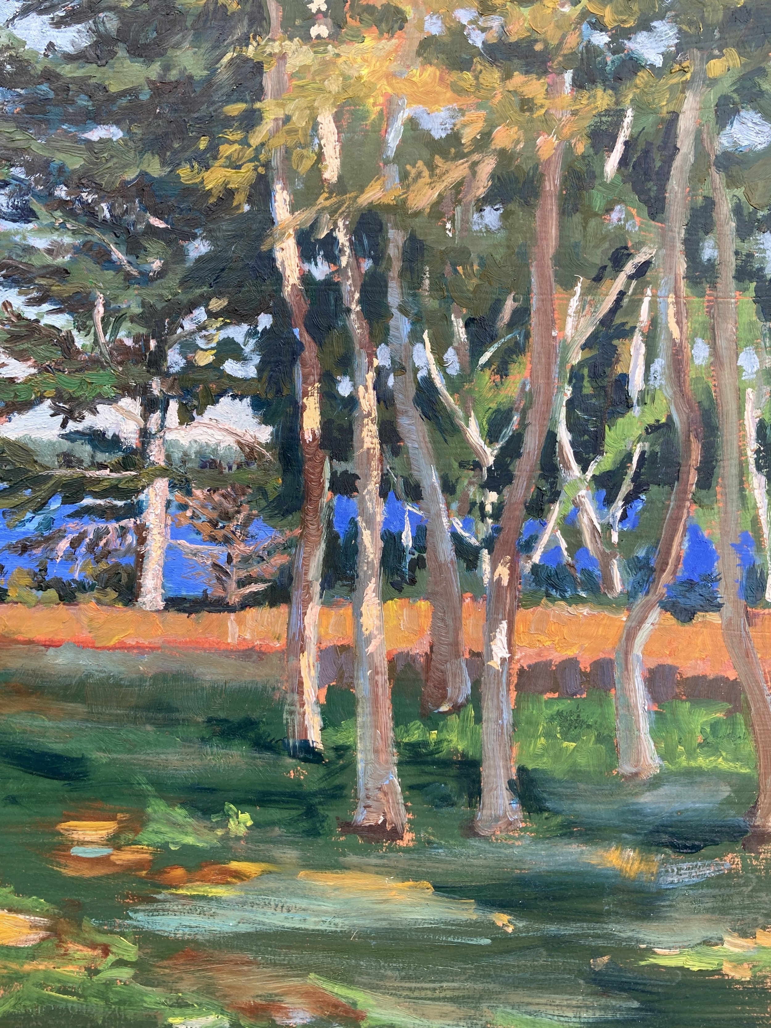 "Birch Grove", 9" x 12" oil on panel