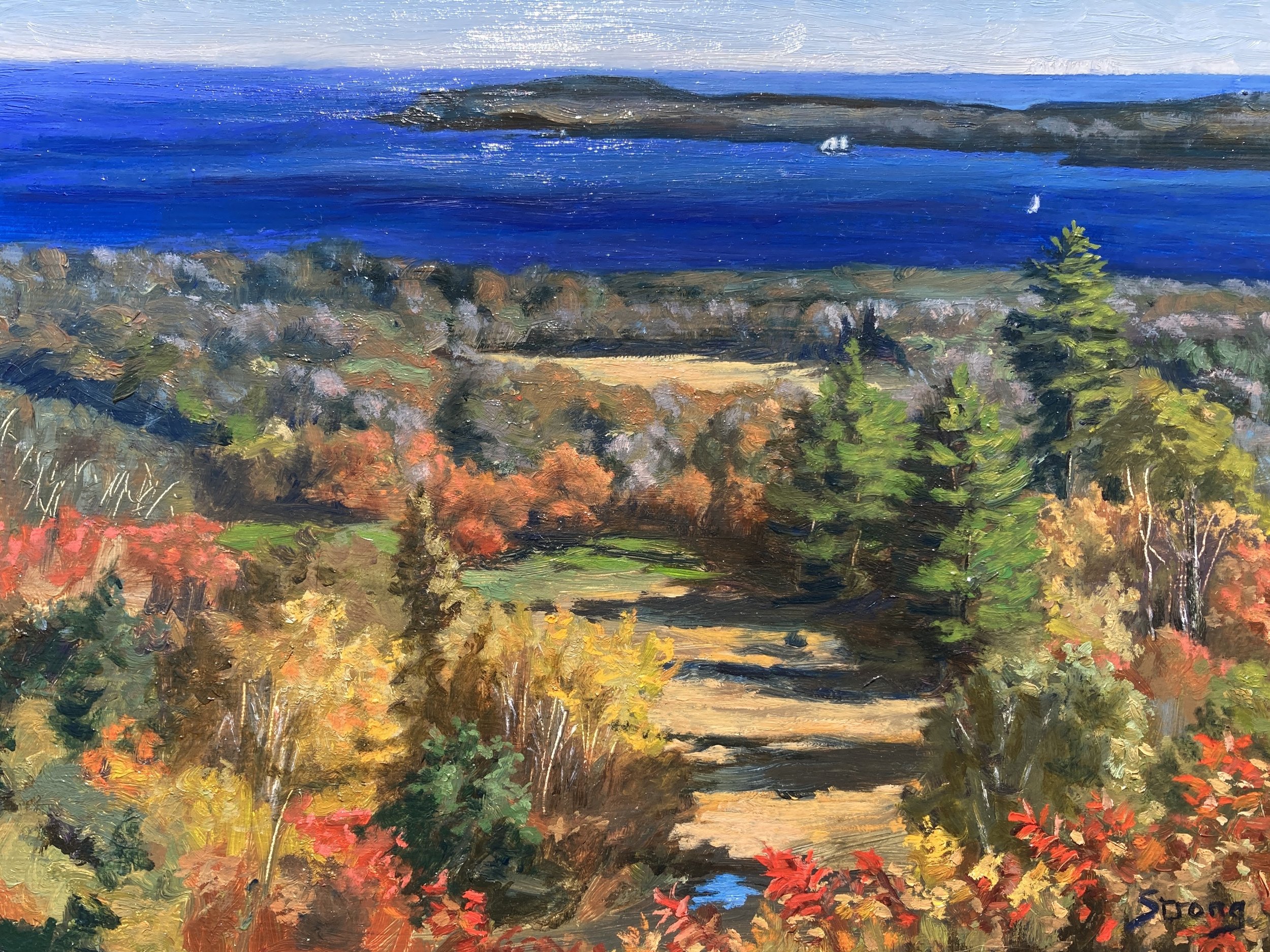 "View from Bear Mountain", 11" x 14", oil on panel