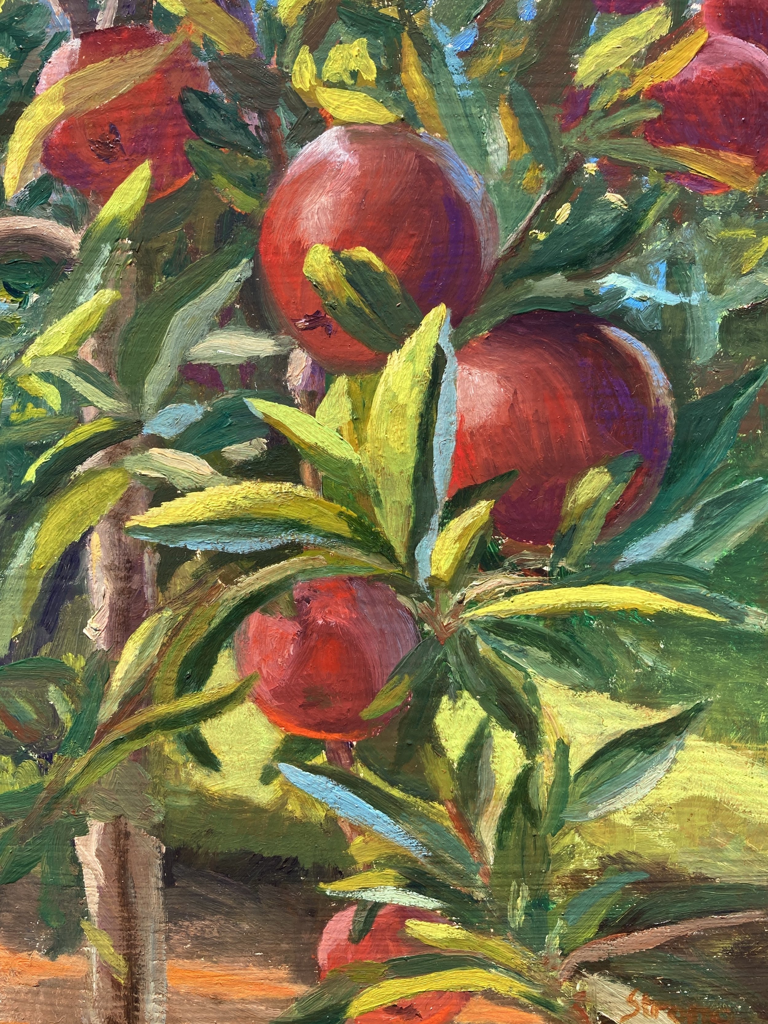 "Hope Apples", 11" x 14", oil on panel