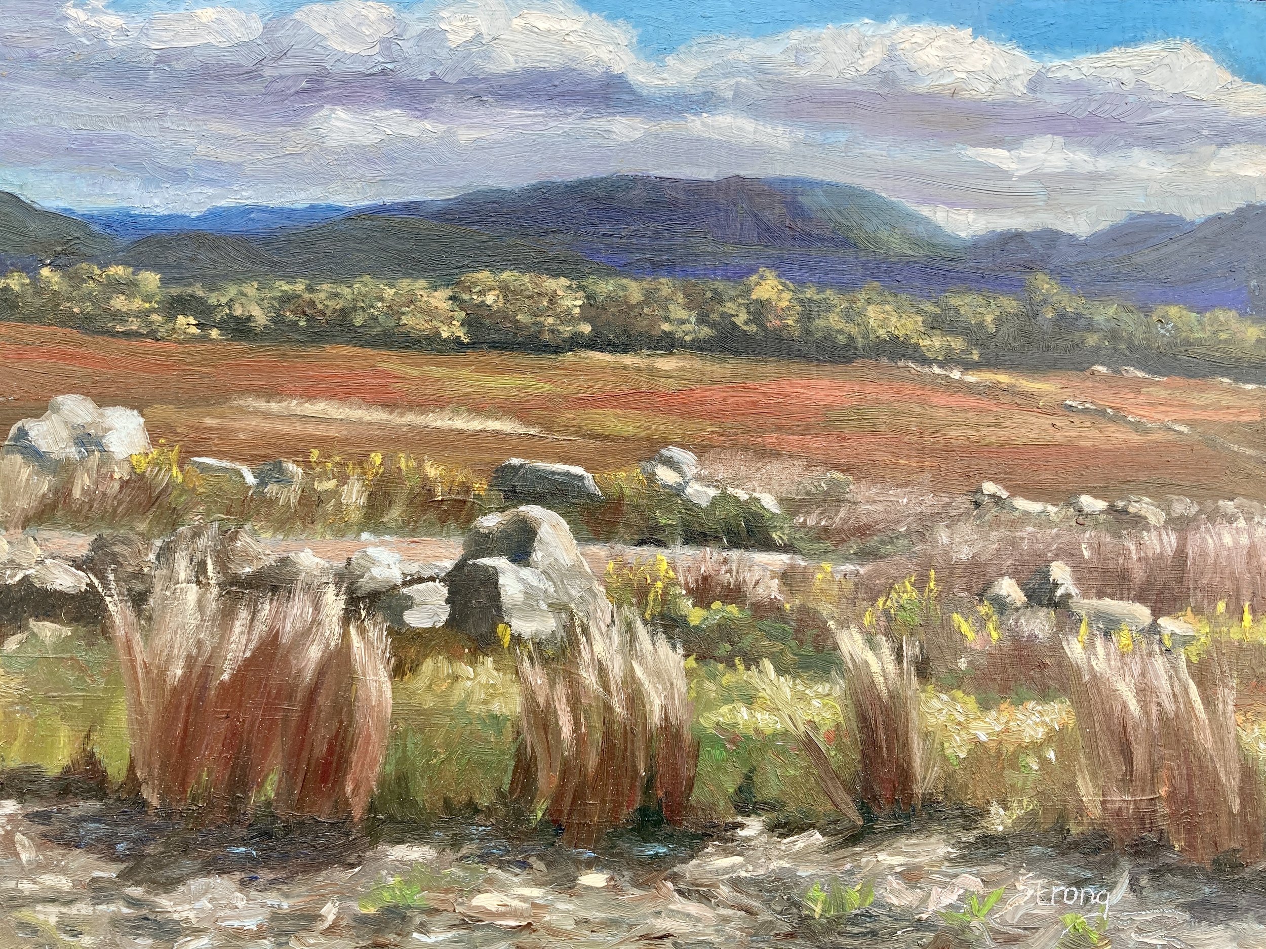 "Clarry Hill looking East", 9" x 12", oil on panel