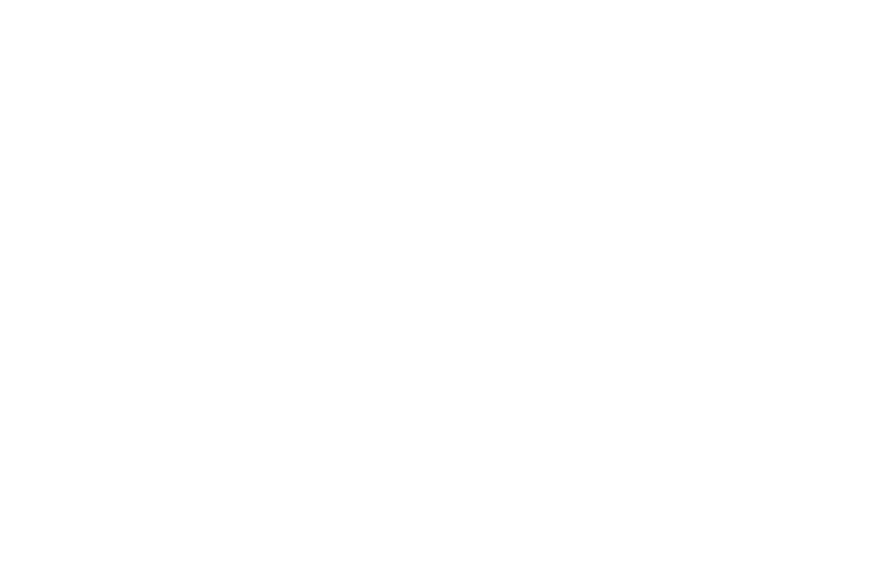 OFFICIAL SELECTION - FLICKFAIR - 2021 (1).png