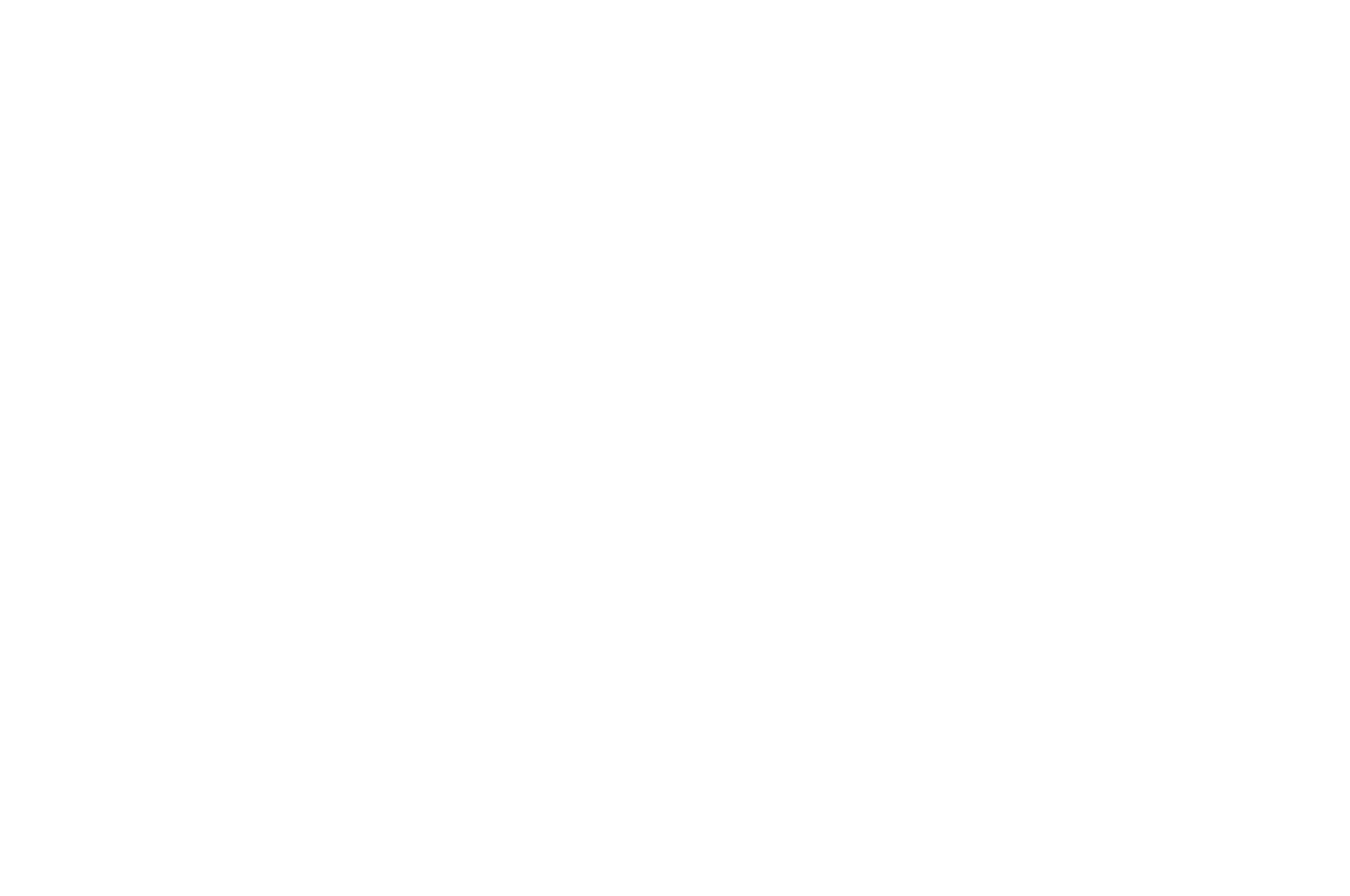 JURY AWARD WINNER - WorldFest-Houston International Film Festival - 2019.png