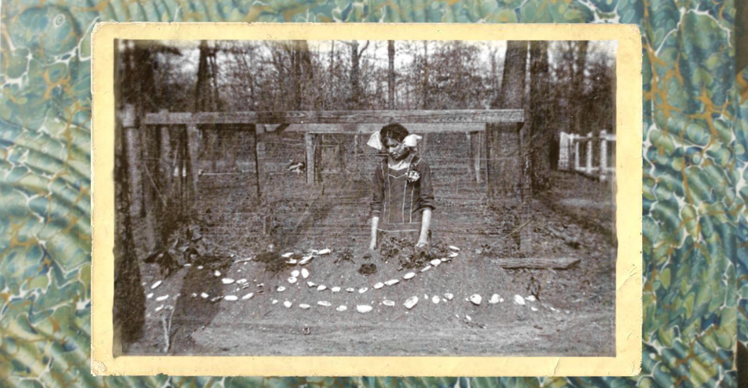 Development Producer