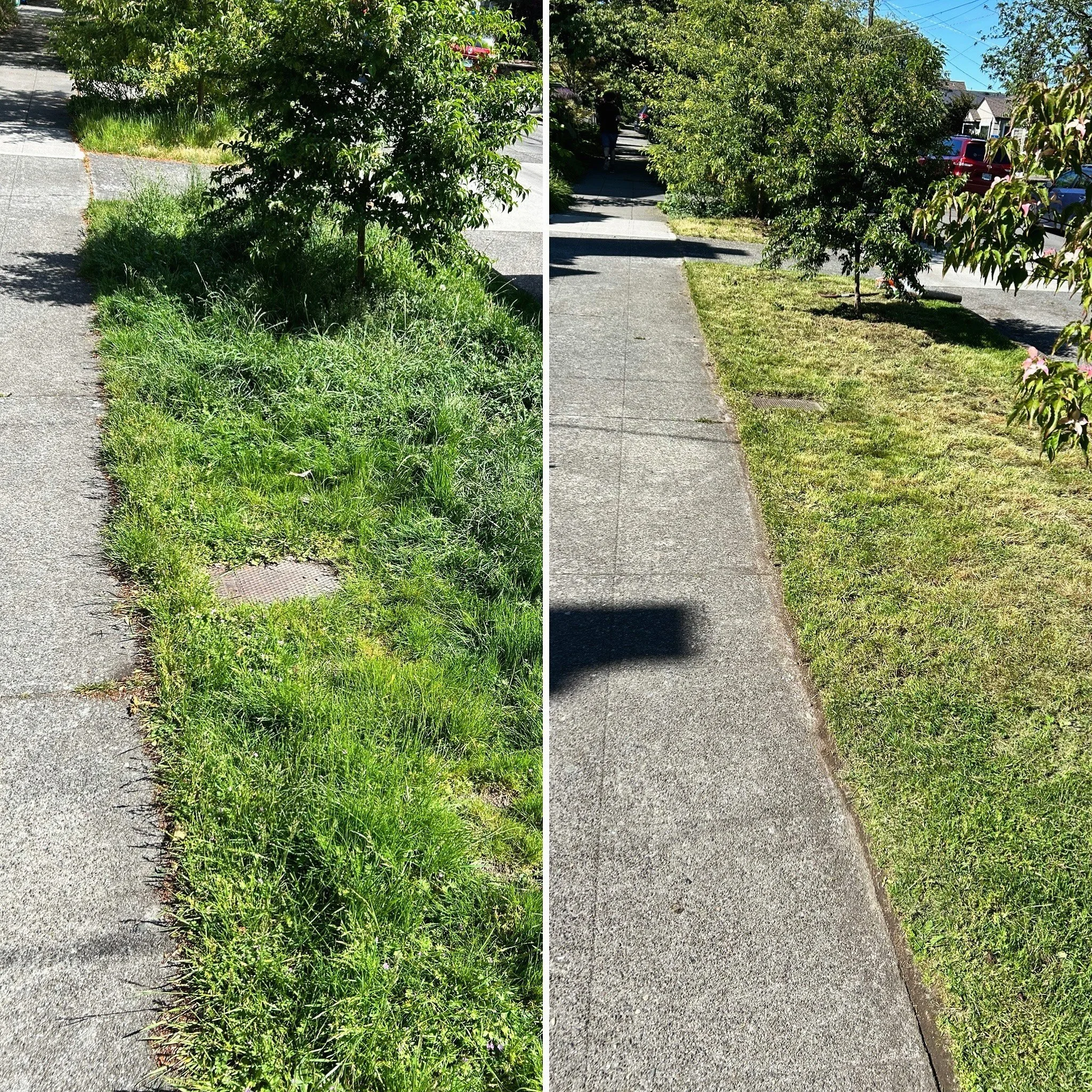 Spring cleanups underway 🍃 🧹 
.
#ballardpropertymaintenance #lawncare #propertymaintenance #ballardwa