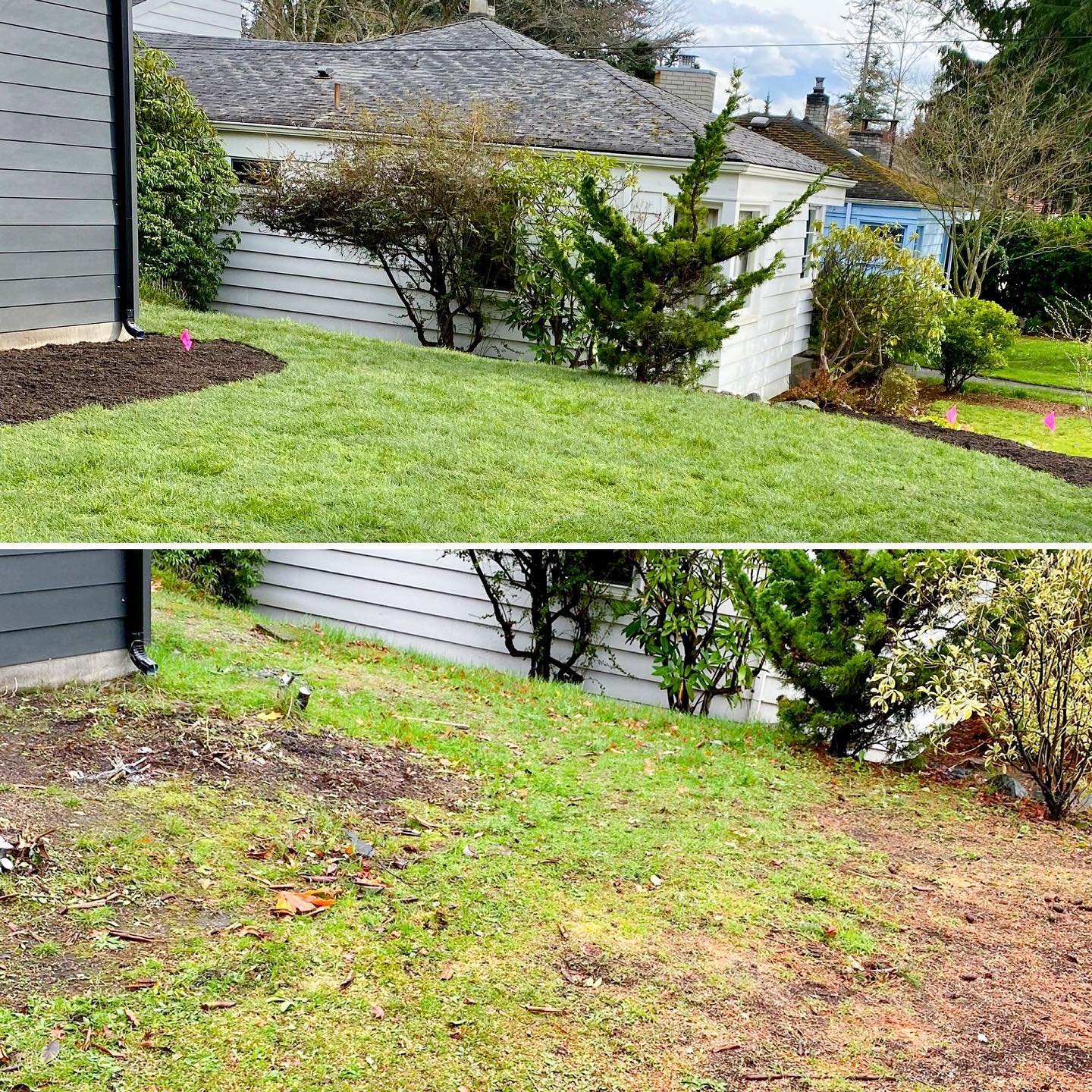 March 2022 - #northseattle sod installation ✅ 
.
.
.
#wherethegreengrassgrows #lawnmaintenance #ballardseattle #freshsod #lawncare #seattlehomes #ballardpropertymaintenance