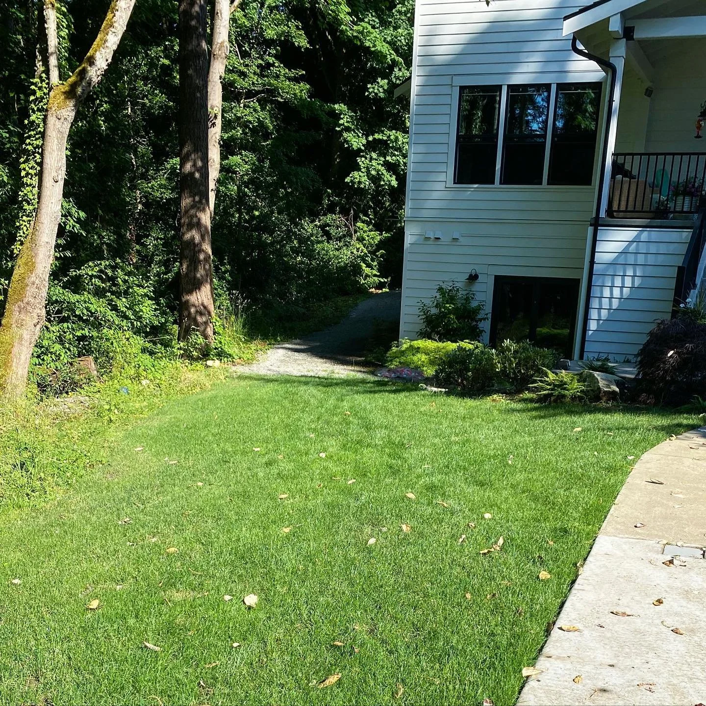 What a difference a season of our #lawnrenovation program can make&hellip;😎
.
Booking now for service starting in April/May/June! 
.
.
.
@ballard.property.maintenance 
#seattlerealestate #seattlehomes #seattlegarden #lawn #lawncare #lawnmaintenance 