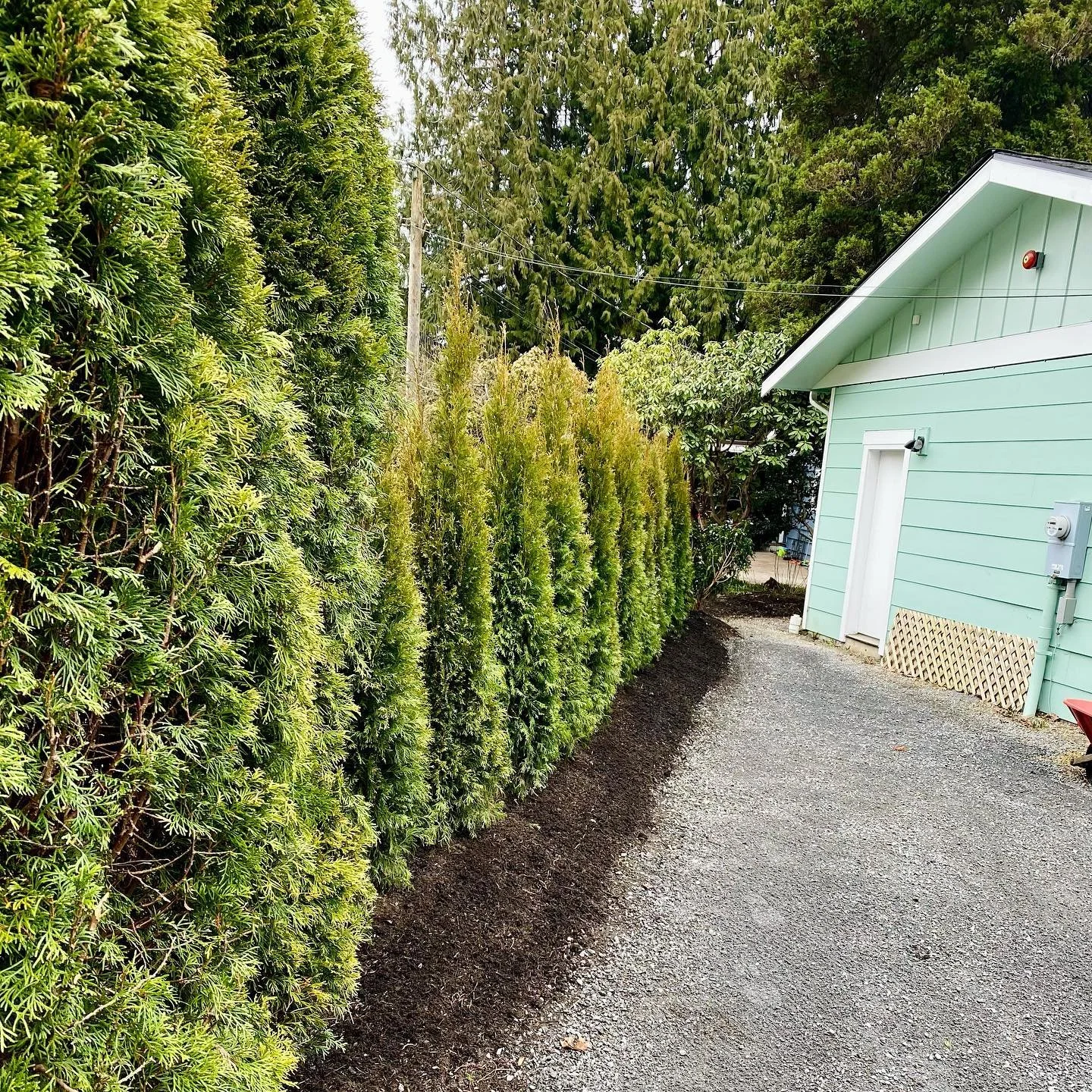An impressive #beforeandafter of this #northseattle property 👀 Nice work Ryan and Jack! 💯
.
#seattlelawn #seattlehomes #seattlerealestate #propertymaintenance #ballardseattle