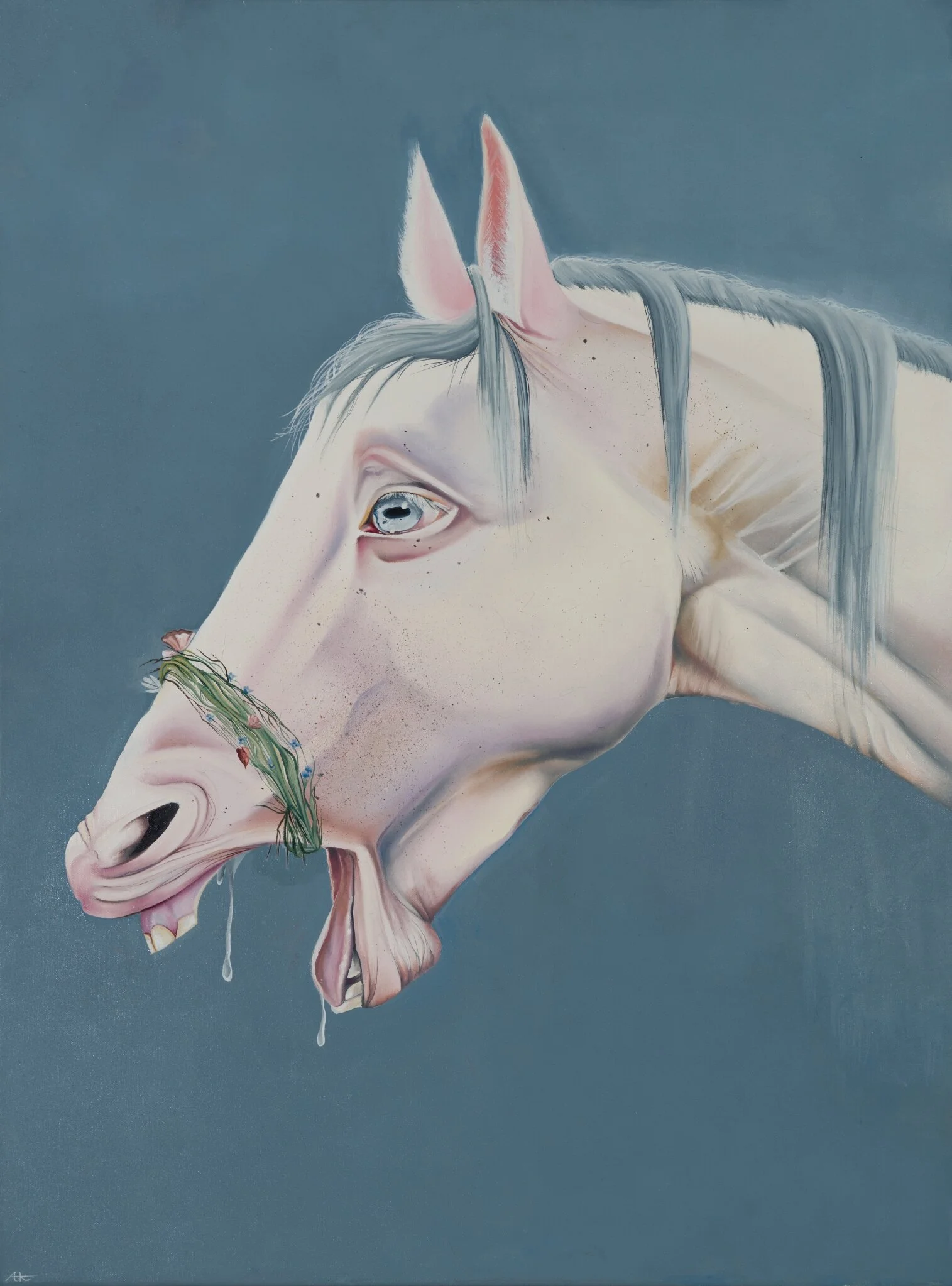 resizedhorse.jpg