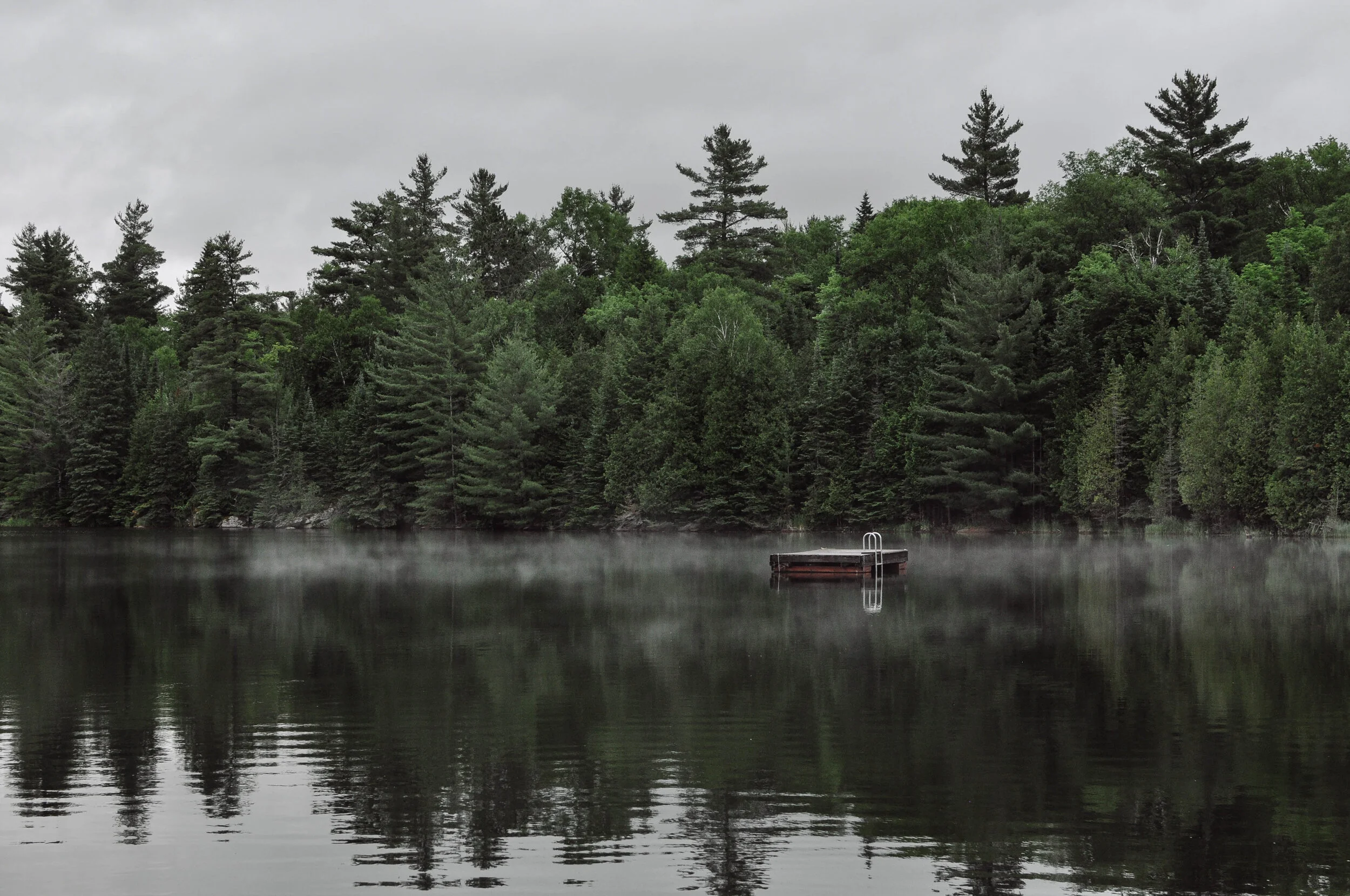 foggy.jpg