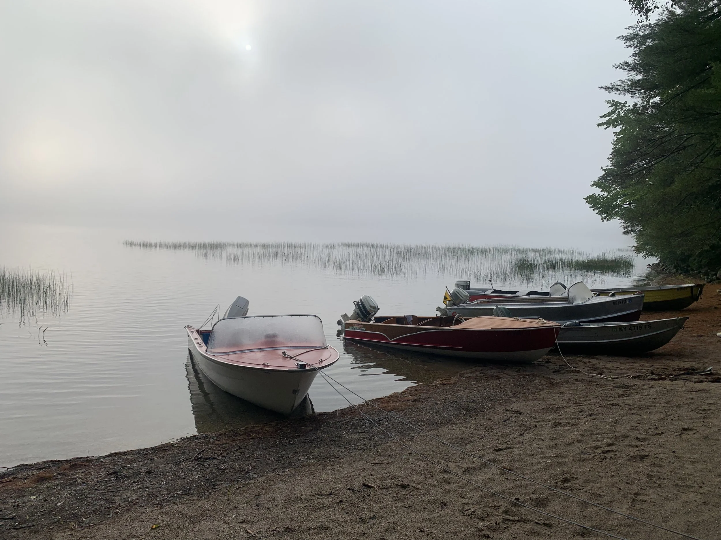 IMG_3066.jpeg