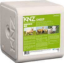 KNZ-Sheep.png