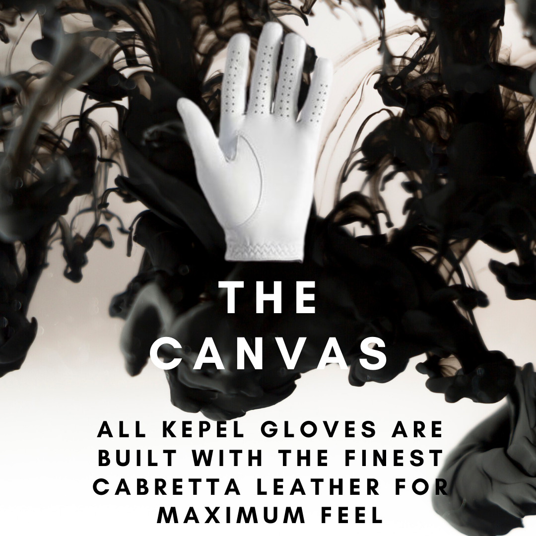 The canvas (5).png