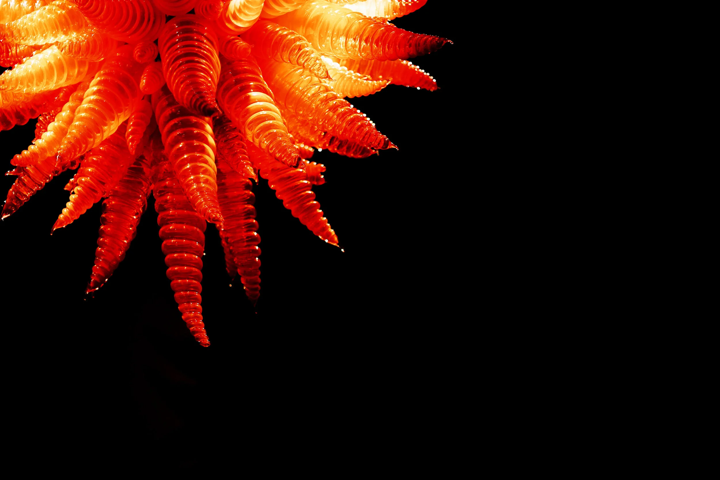 chihulygg004.JPEG