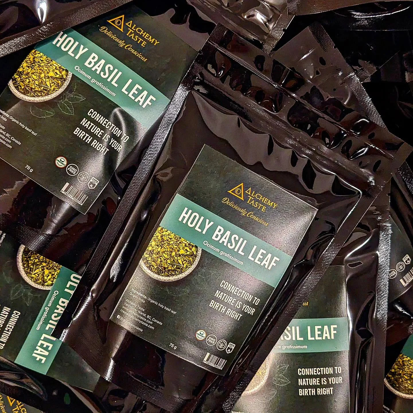 🌿 Holy Basil &mdash; Master Your Mind, Support Your System

Holy Basil, known as Tulsi, is one of nature&rsquo;s most respected adaptogens &mdash; a plant that teaches the body how to stay steady under stress.

Organic Holy Basil leaf helps regulate