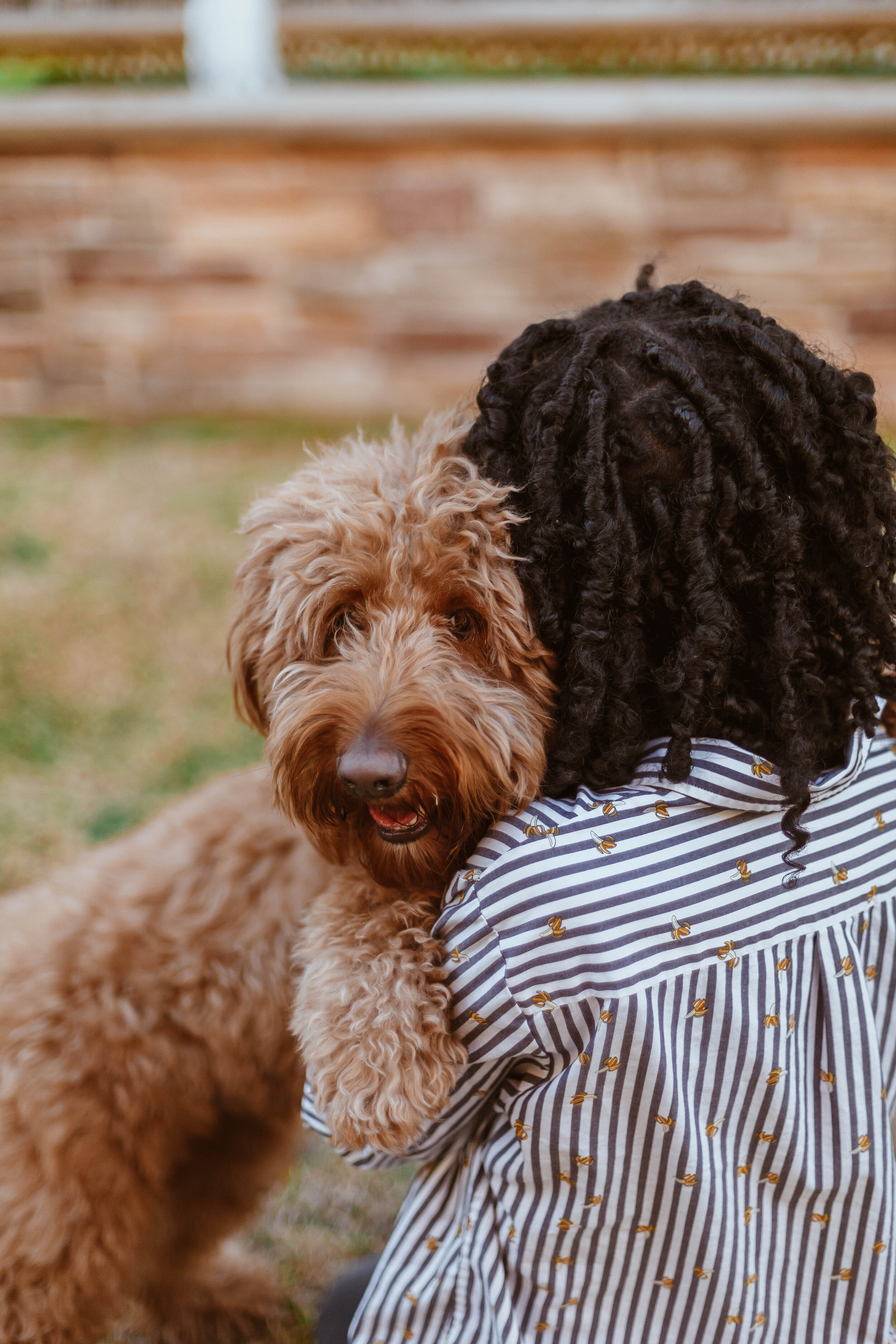 A Happy pet starts with a healthy belly.&nbsp;