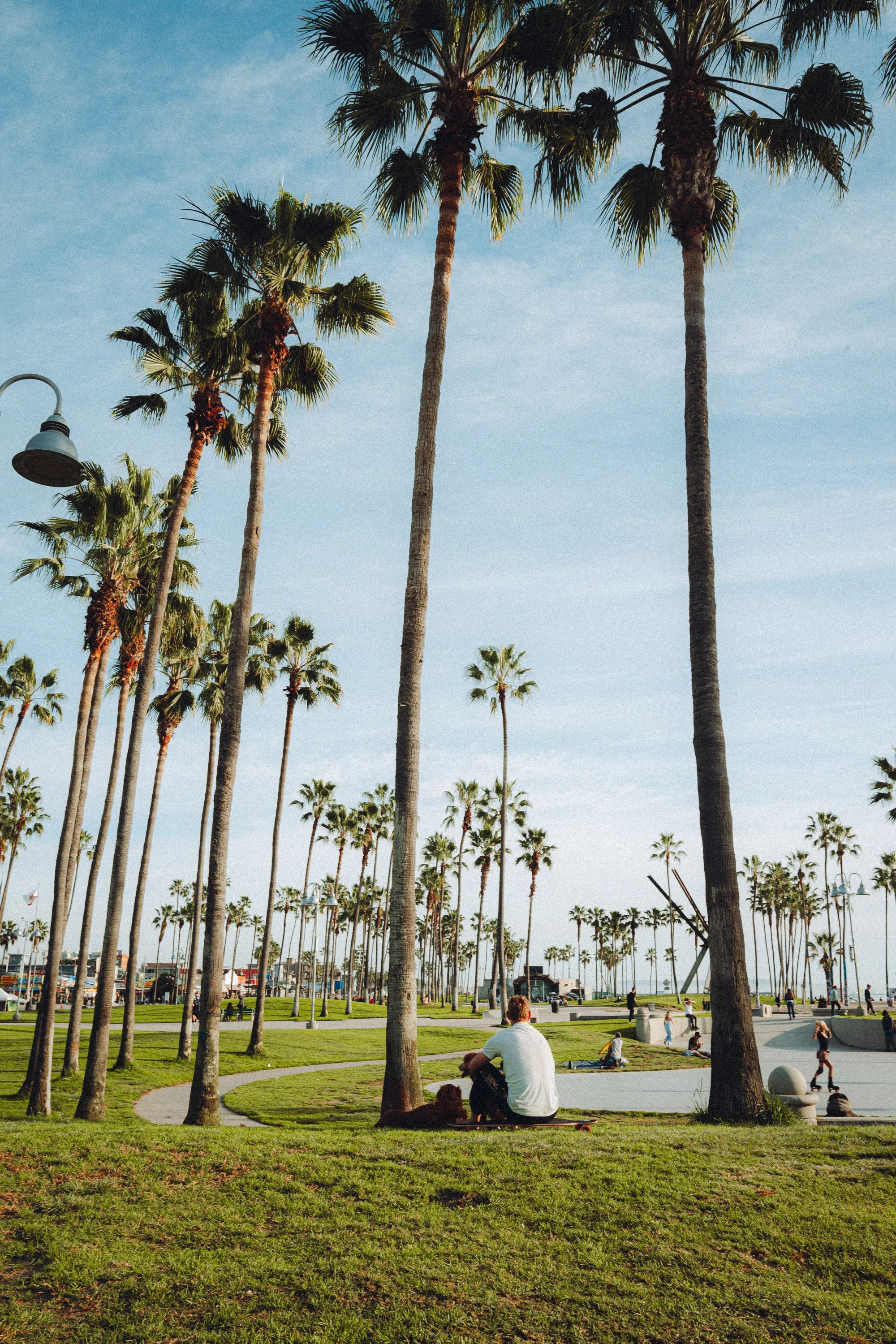 L1100921.jpg