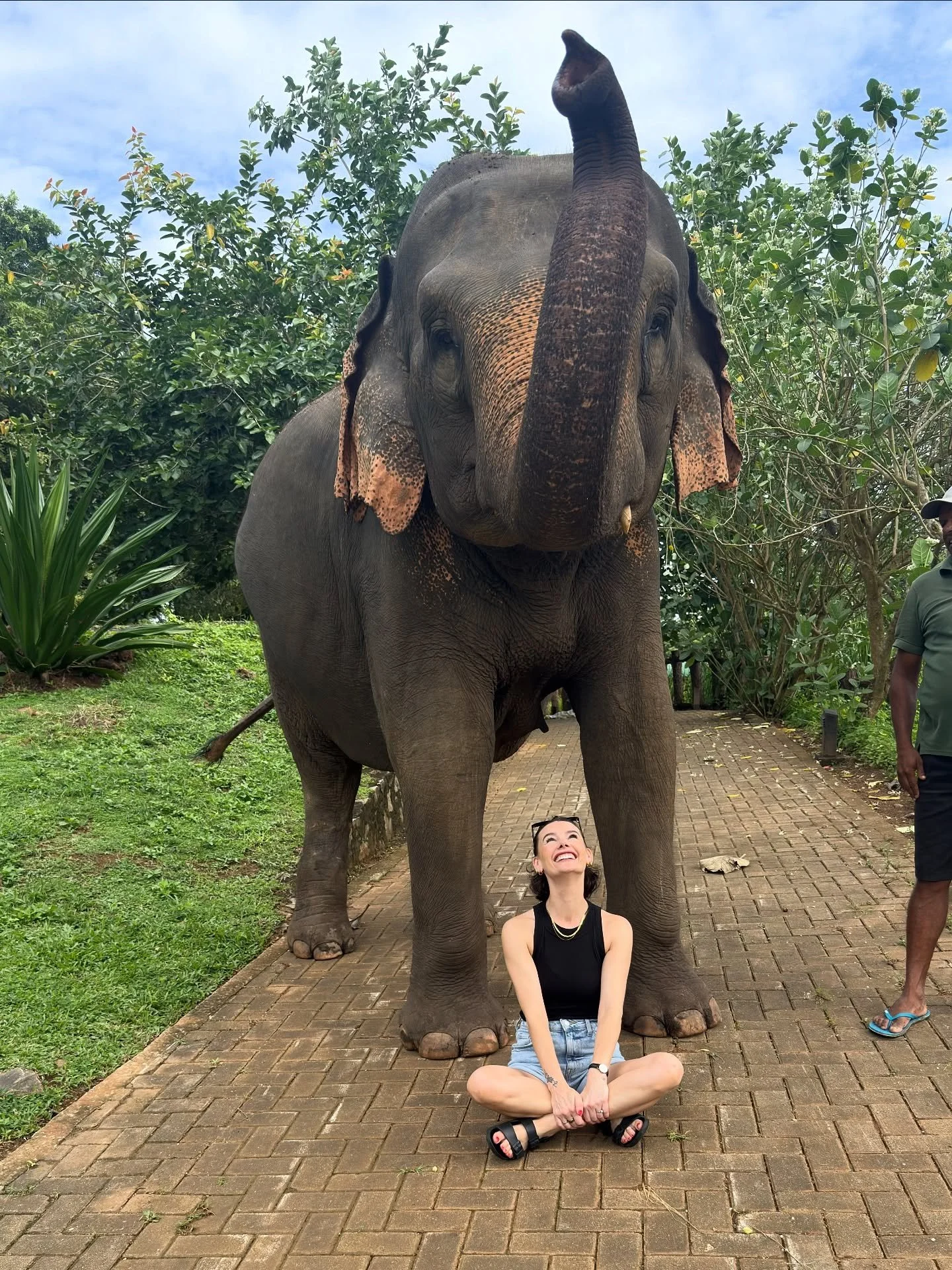 krystal’s time teaching in sri lanka π±π° 
 
she’s back to being salon busy after having the most amazing time in sri lanka, which was also super busy π€£
 
if you don’t know krystal teaches brows & lashes for our siste