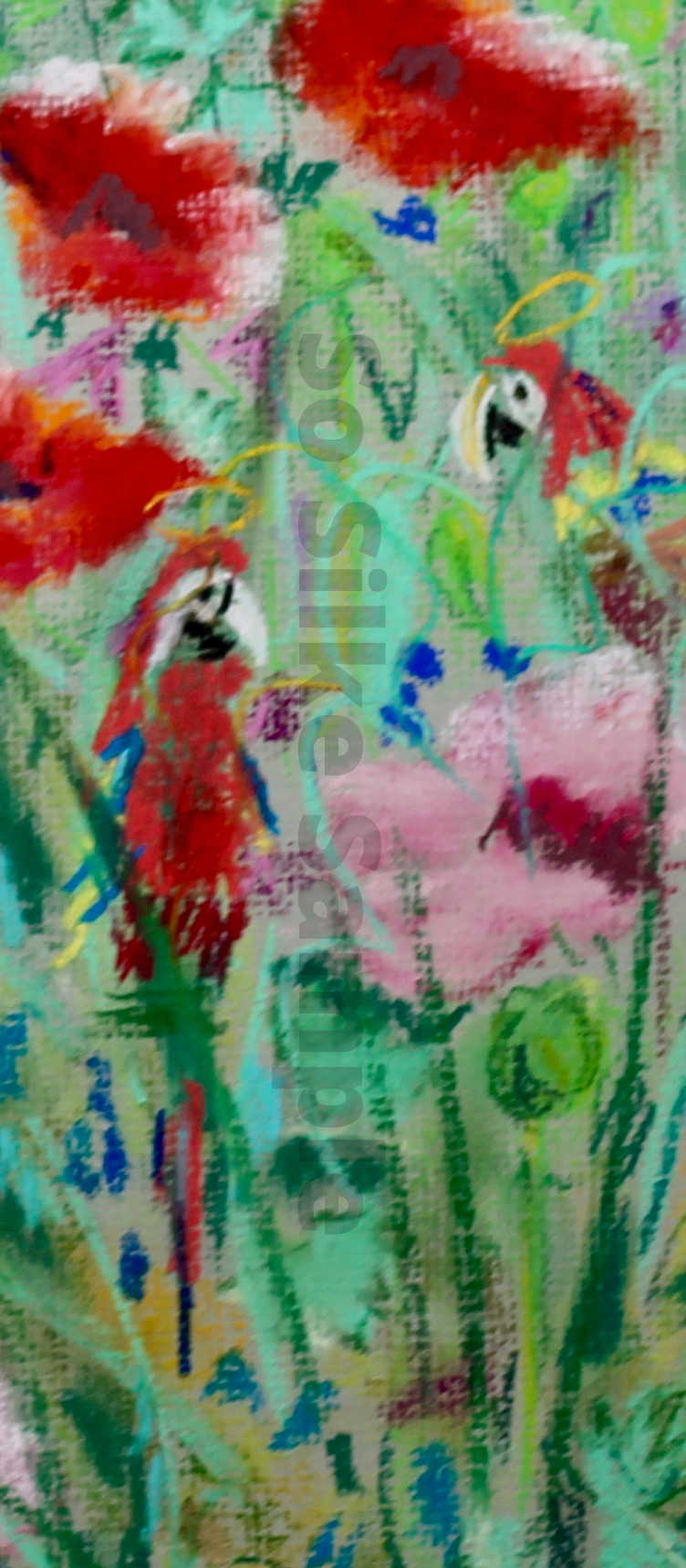 Holy parrot close up - So Silke Sample .png