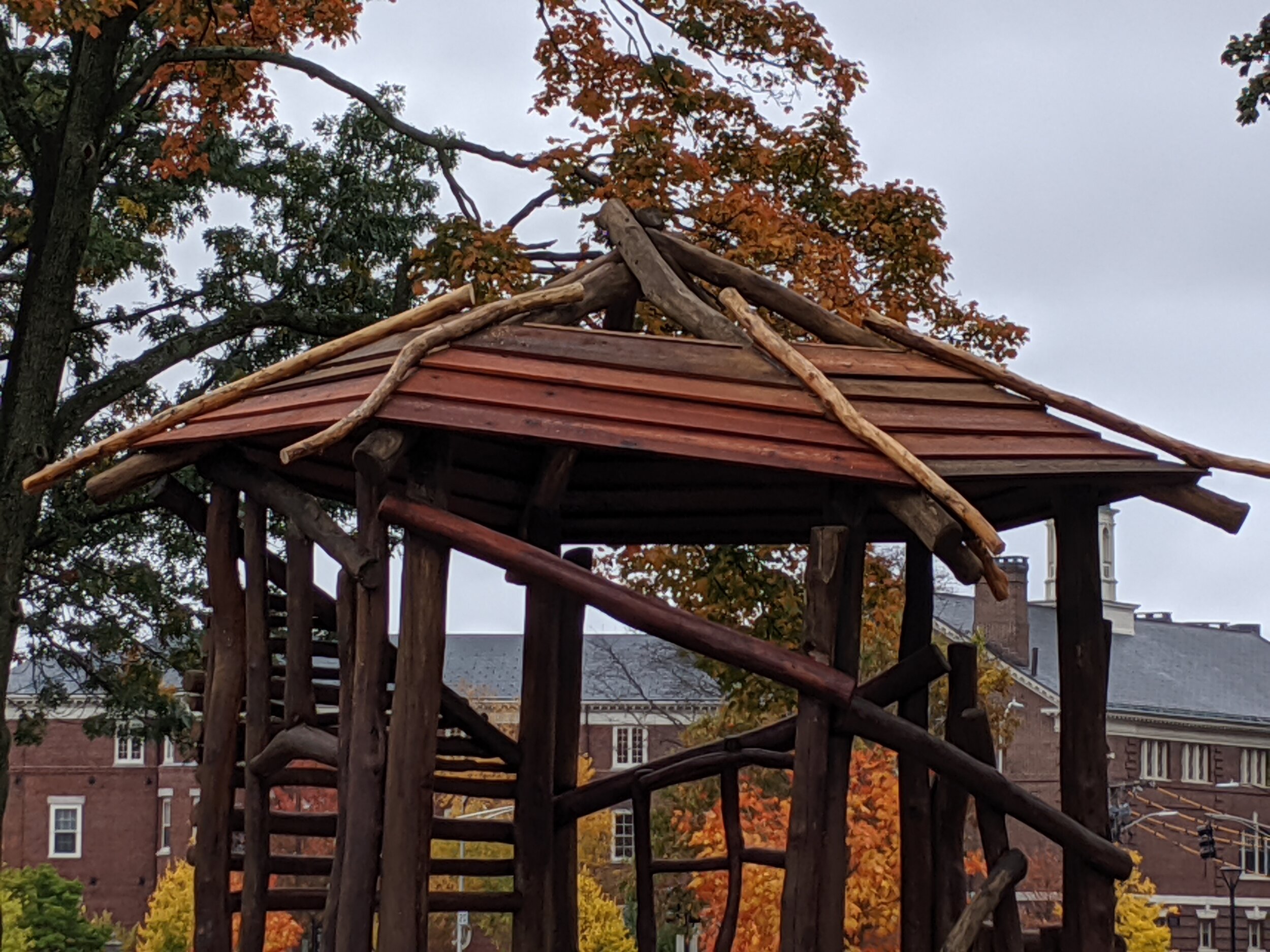 IMG_20191028_163217.jpg