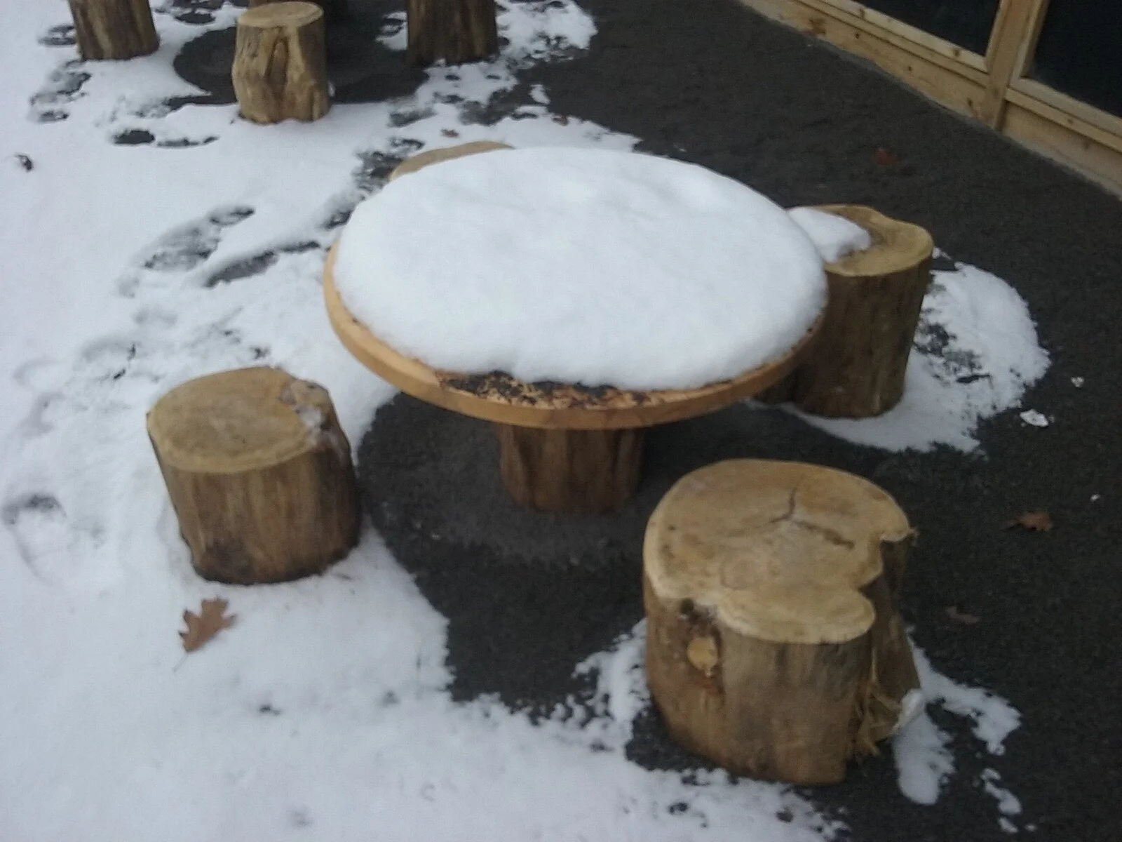 20181208_135240.jpg