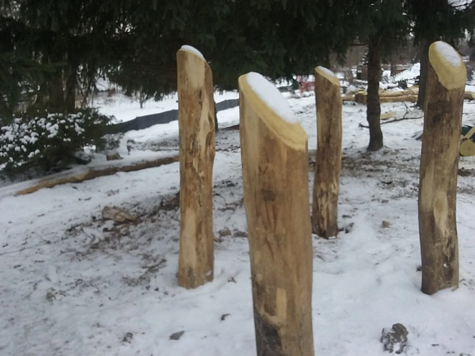 20181208_140815.jpg